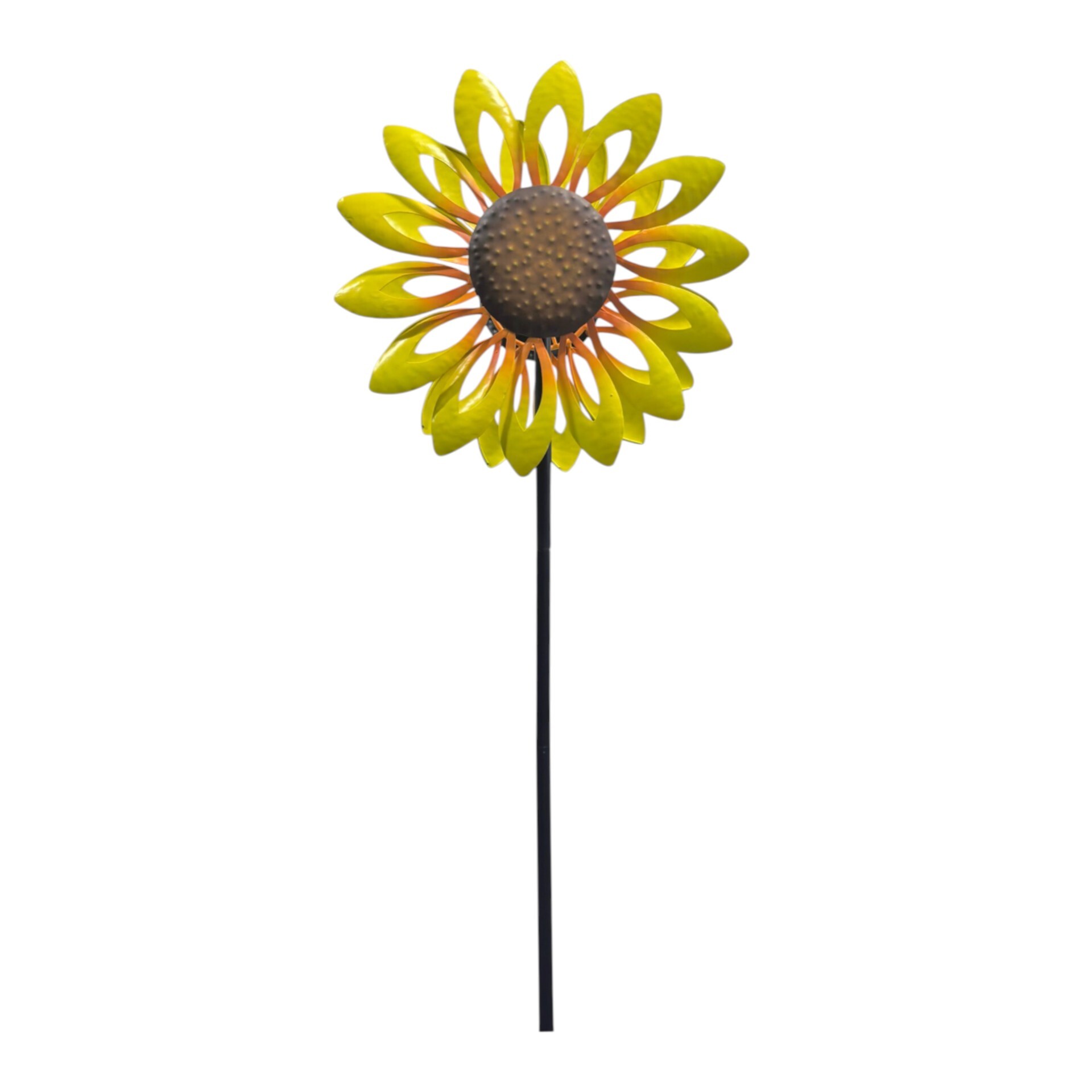 Darstellung von Duopropeller Sonnenblume mittel