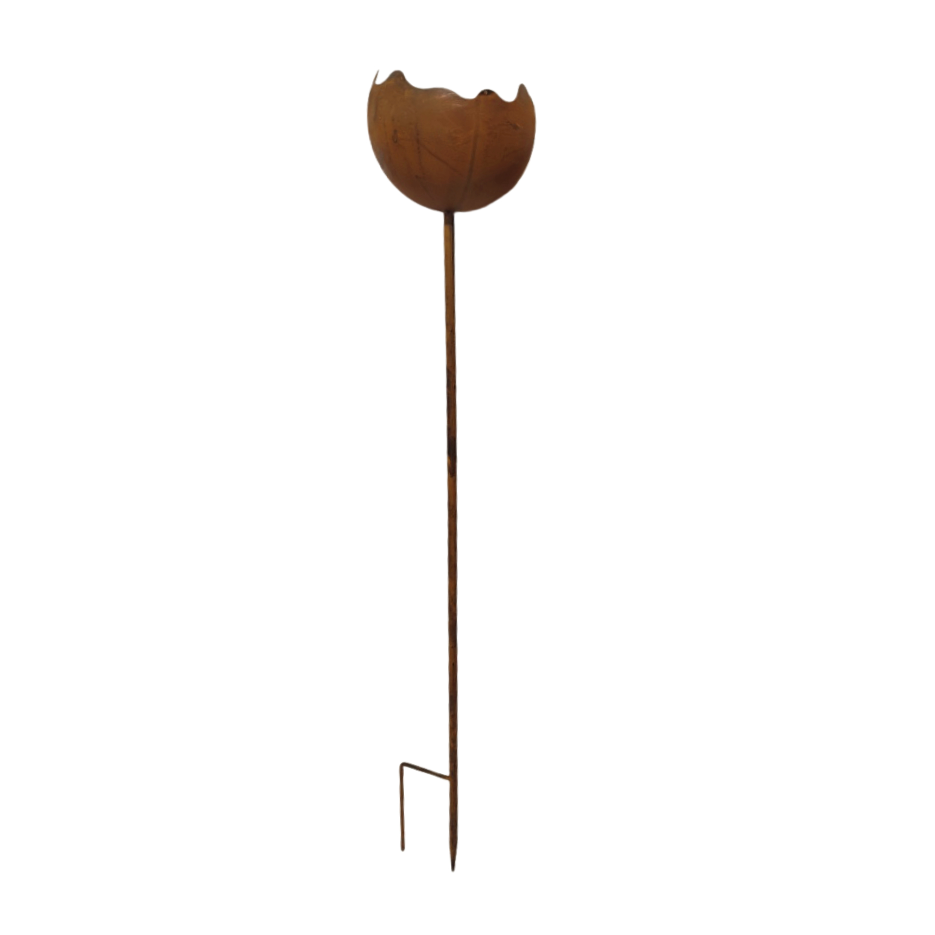 Darstellung von Schale a. Stab gross rusty