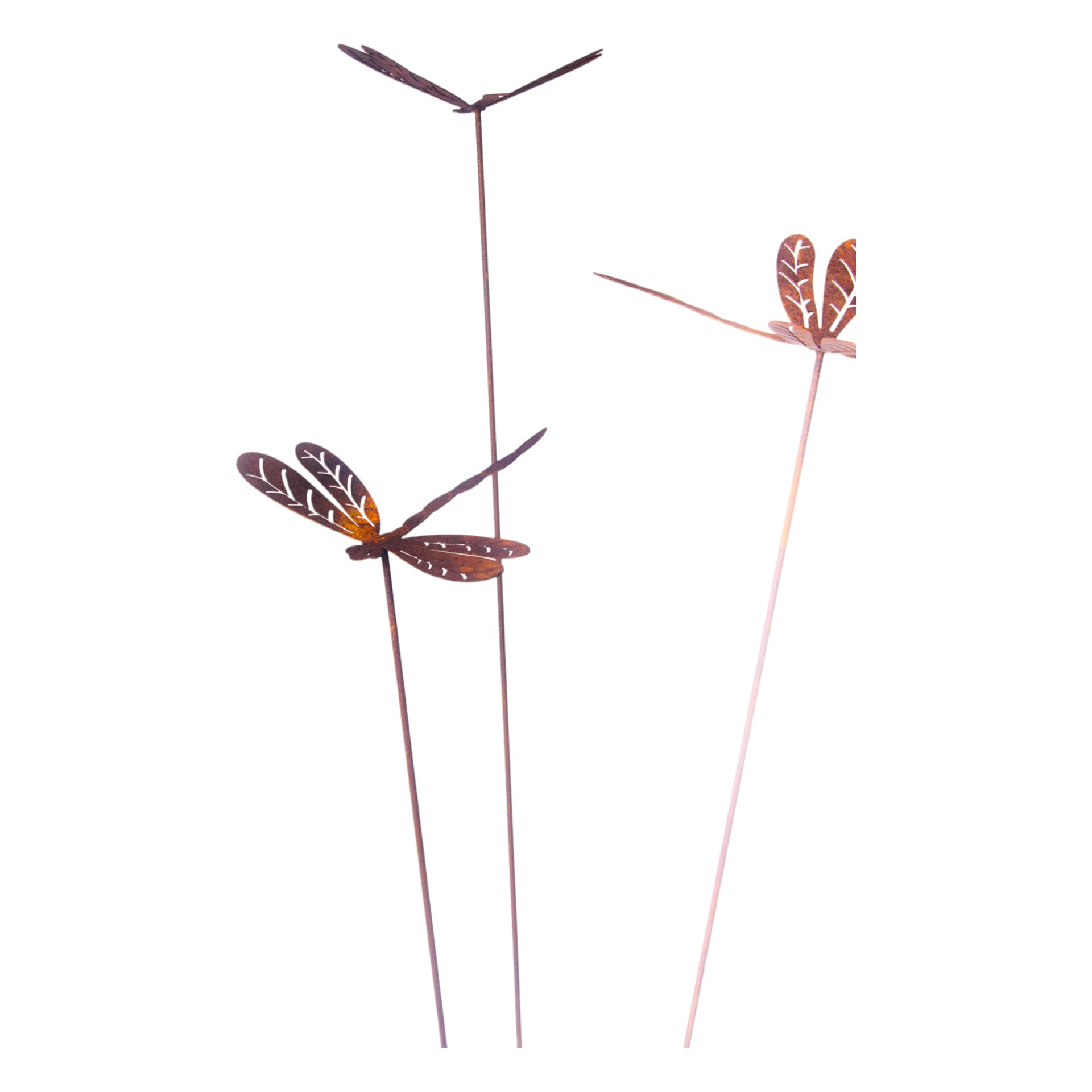 schwebende Libellen auf Stab Darstellung von schwebende Libellen auf Stab