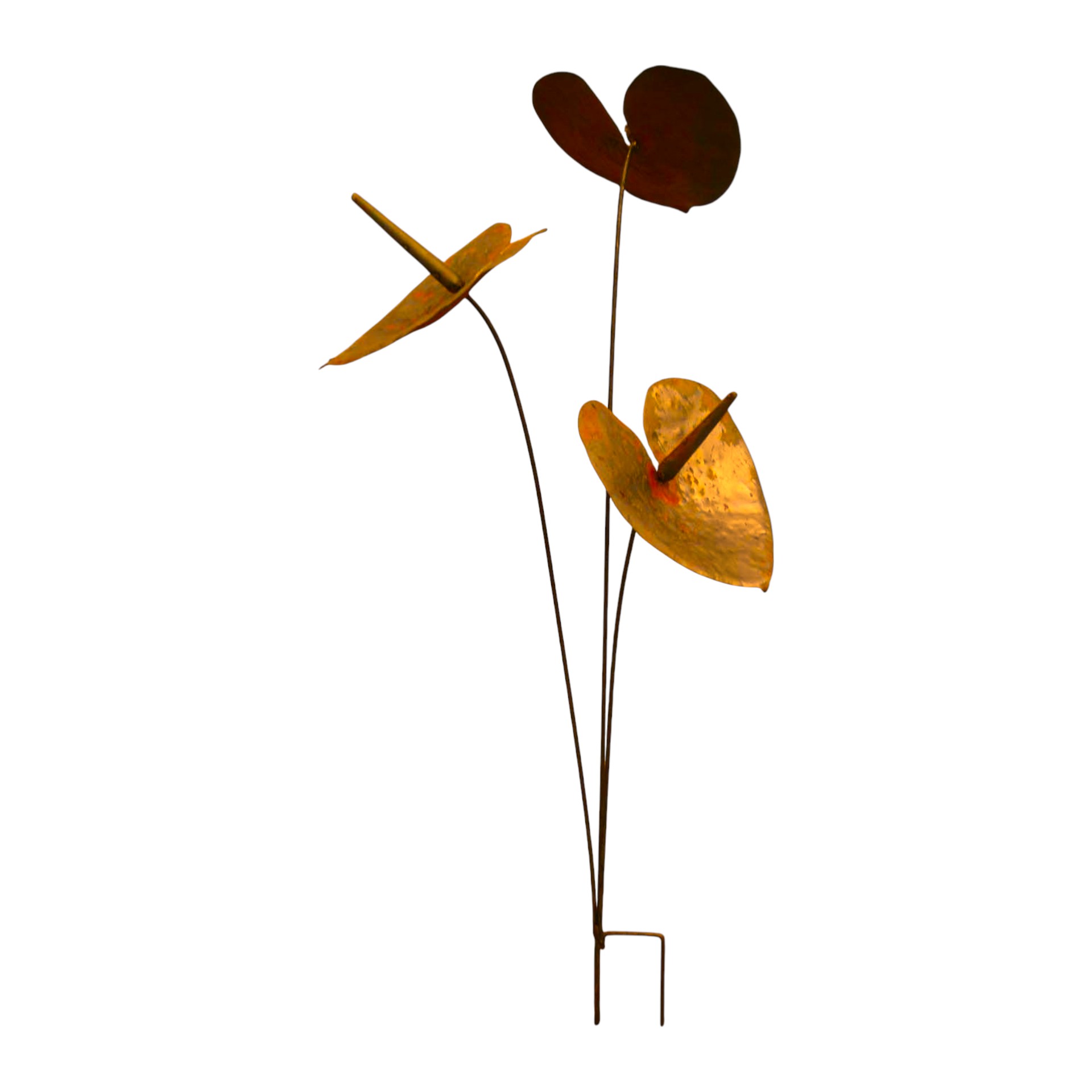 Darstellung von Flamingoblume z. Stecken gross