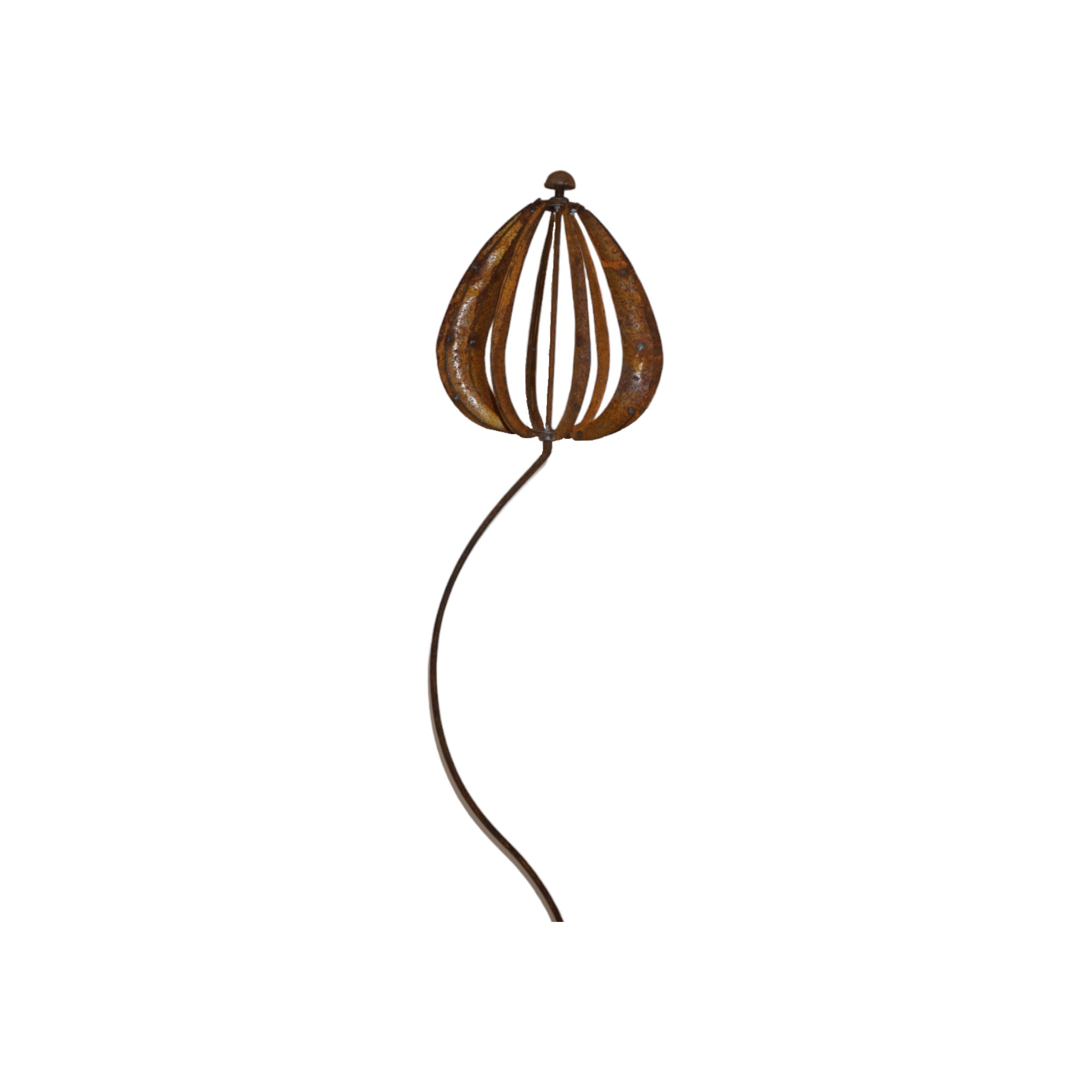 Darstellung von Tulpenpropeller h= 160 cm