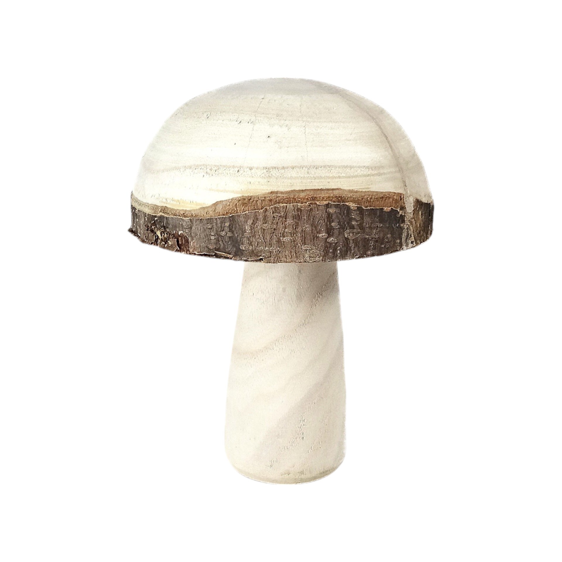 Darstellung von Holzpilz klein natur/ Rinde