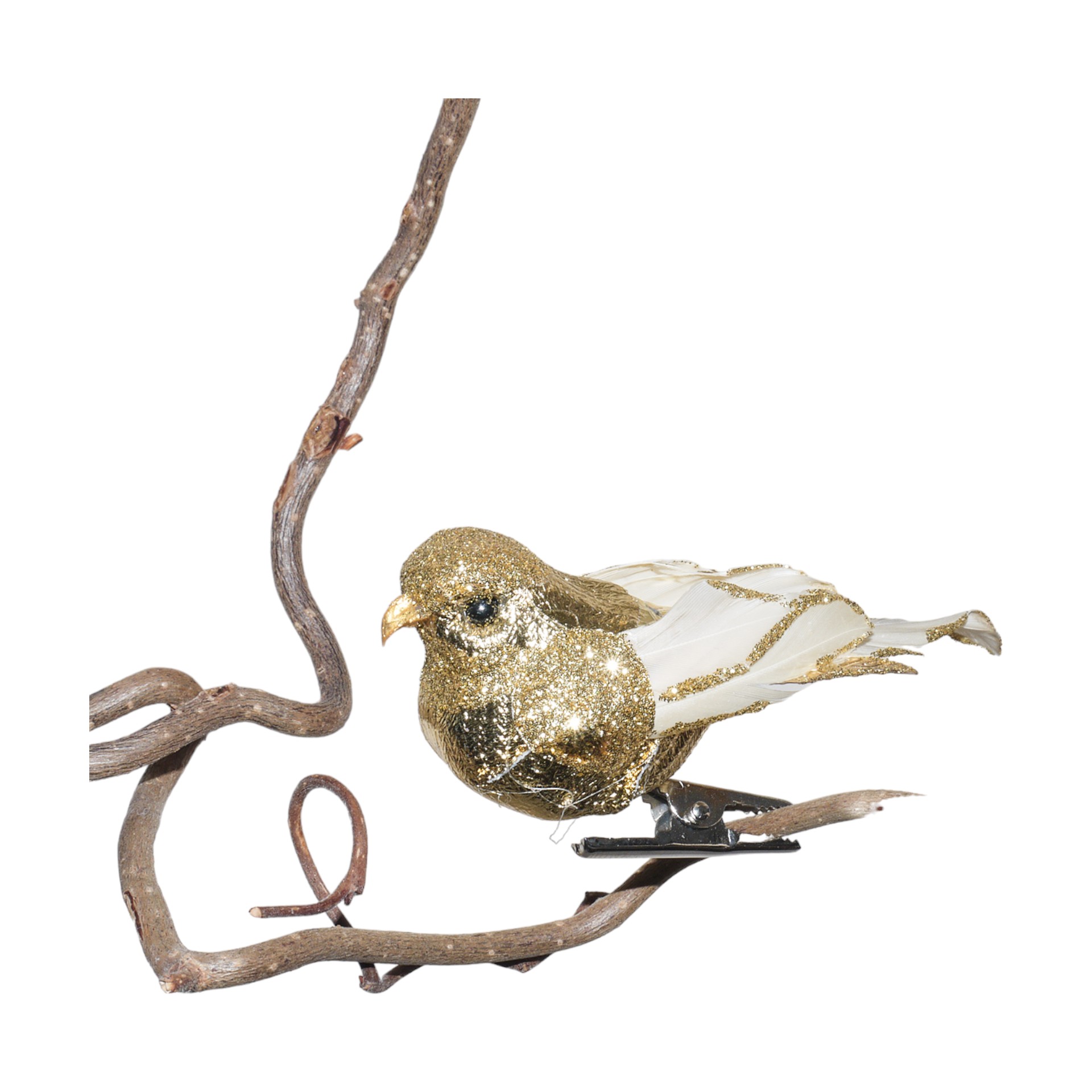 Goldvogerl mit Schwanz kurz natur l= 9 cm Darstellung von Goldvogerl mit Schwanz kurz natur l= 9 cm