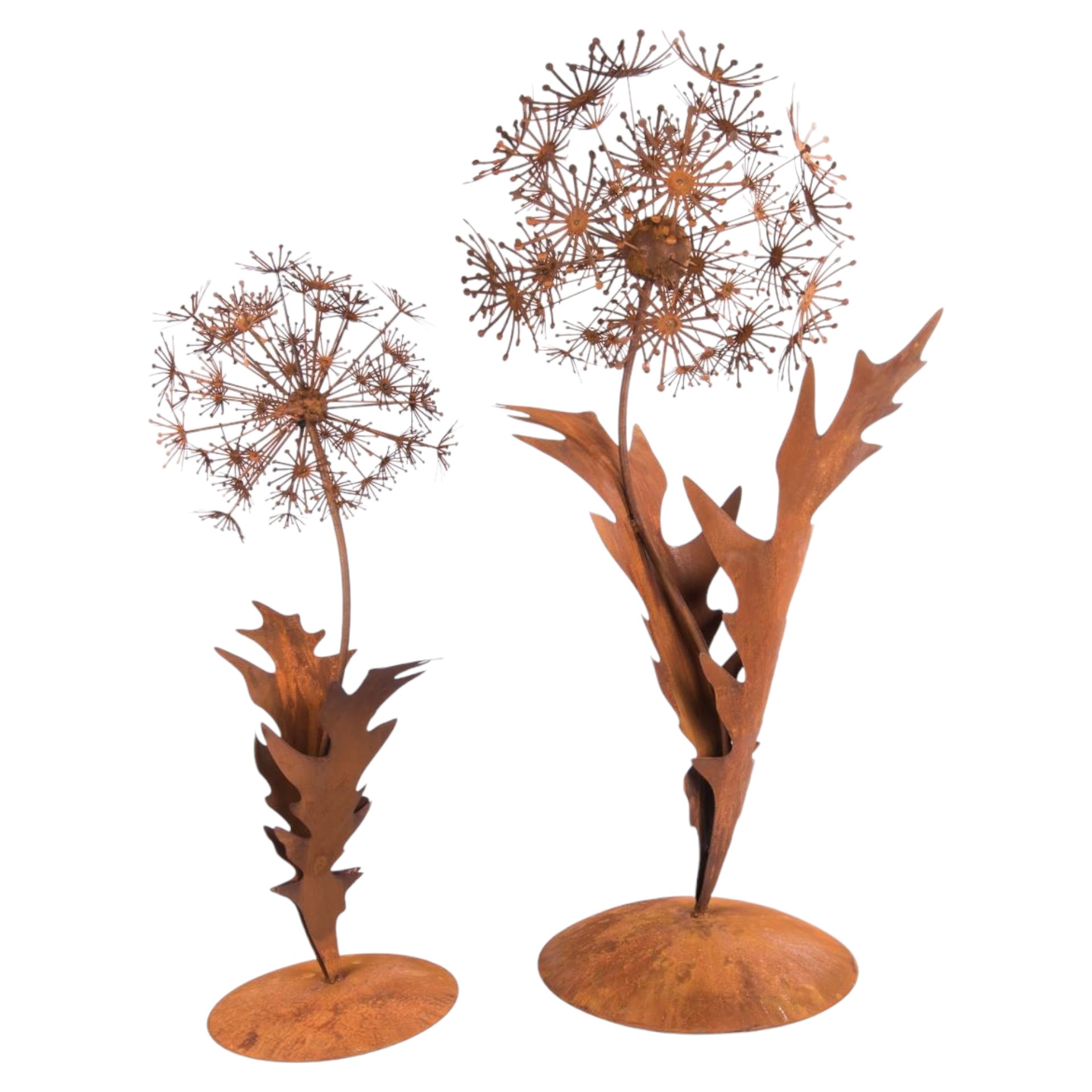 Löwenzahn klein auf Platte mit 2 Blätter ROST Darstellung von Löwenzahn klein auf Platte mit 2 Blätter ROST