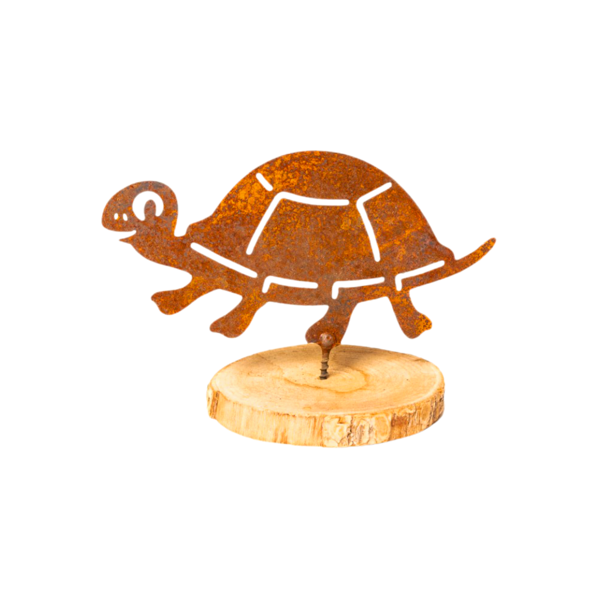 Darstellung von Schildkröte mit Schraube