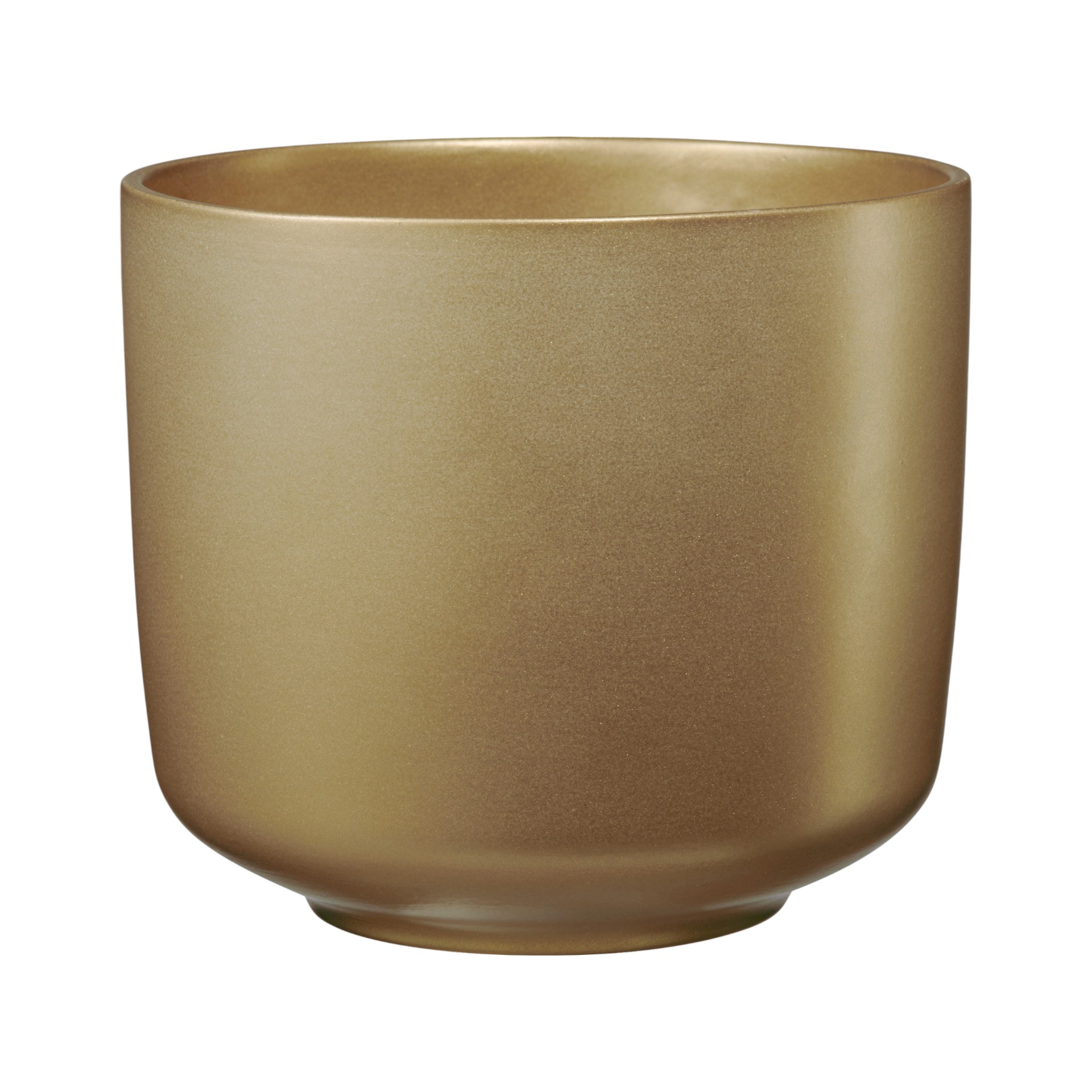 Darstellung von Bari Glamour 13 PERLGOLD