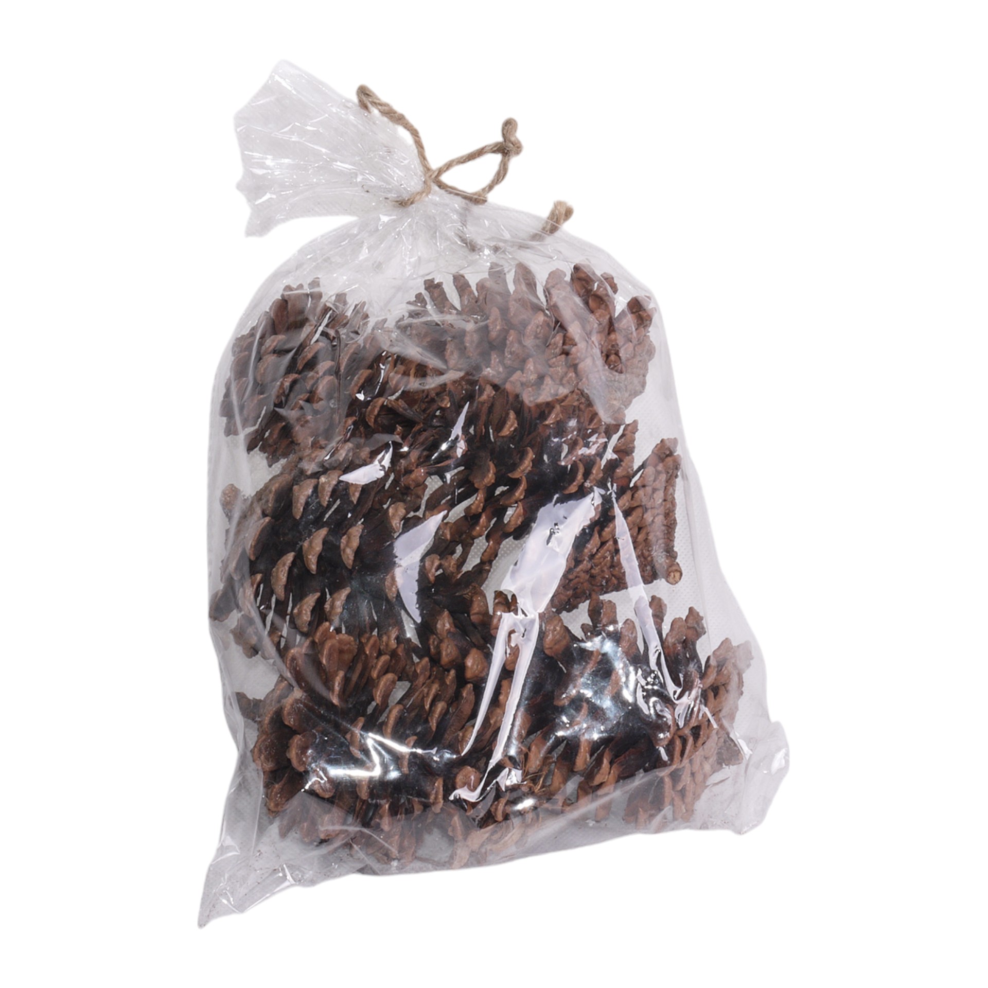 RP Dekozapfen natur 6-tlg. 10 cm Darstellung von RP Dekozapfen natur 6-tlg. 10 cm