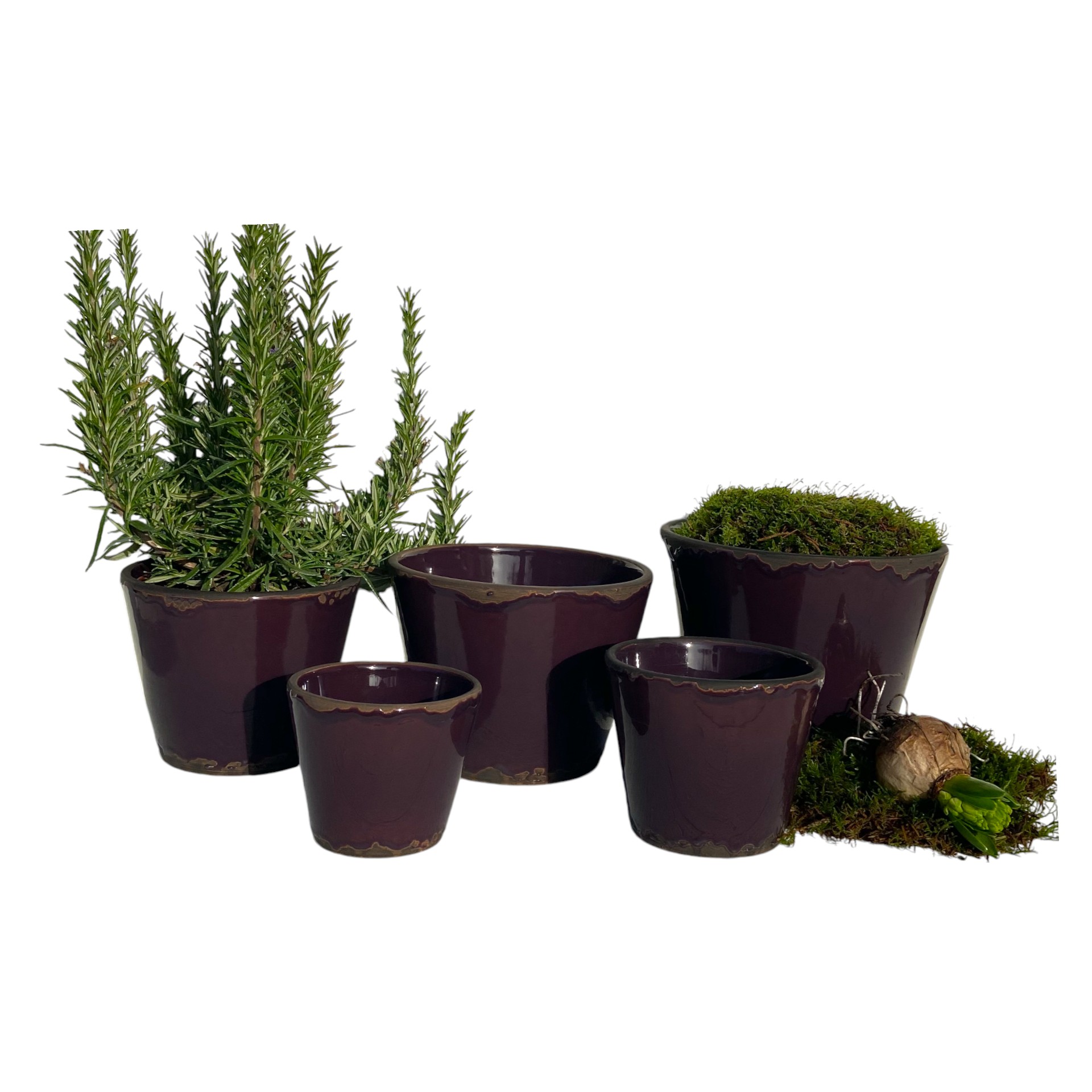 Darstellung von RP Topf Flora AUBERGINE 14,5x12,5 cm