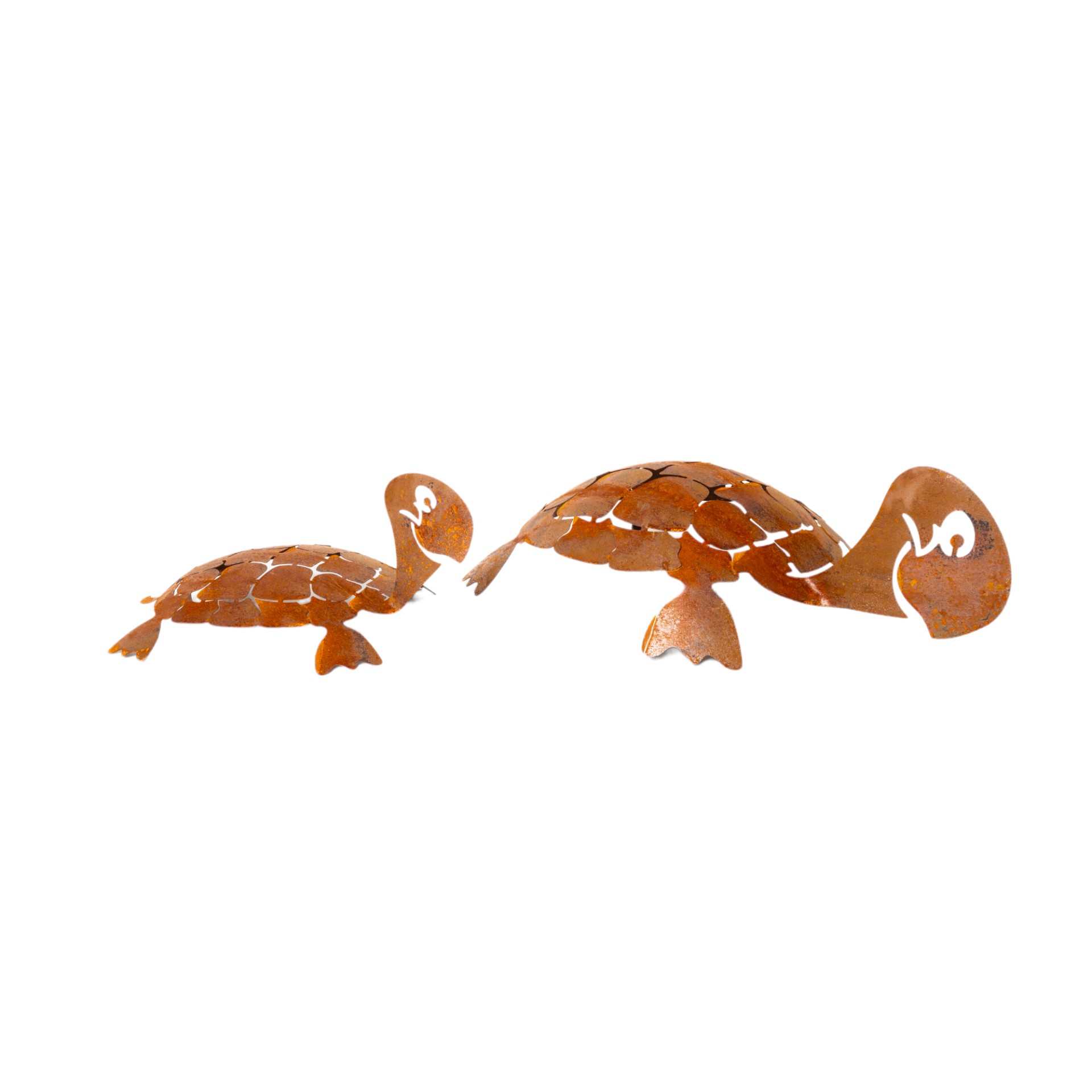 Darstellung von Schildkröte gross