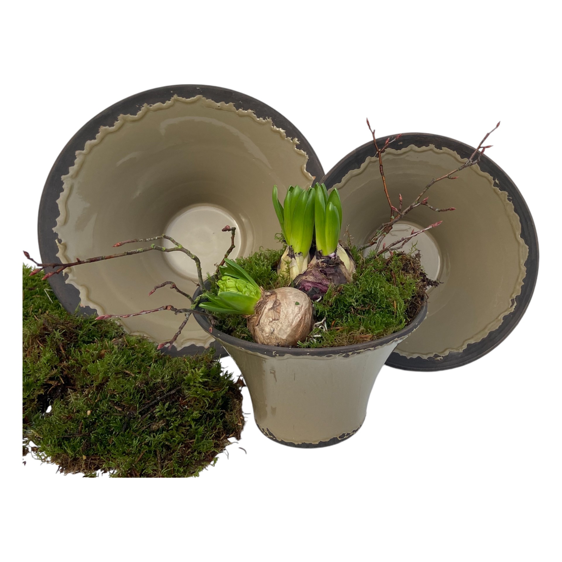 Darstellung von RP Schale OLIVE 27x14 cm