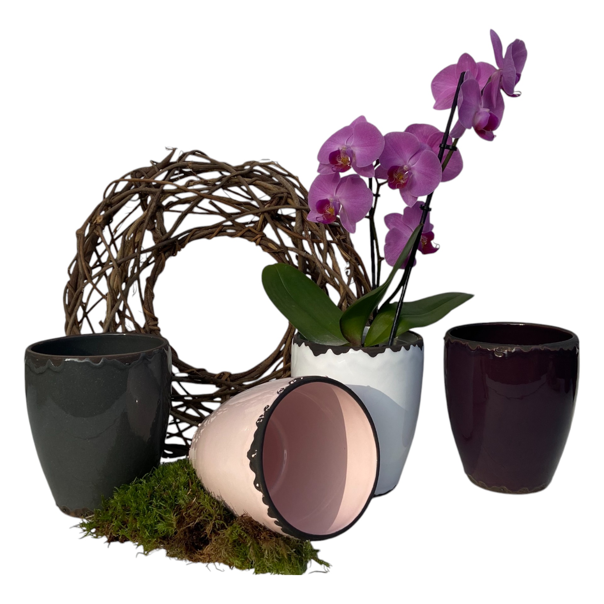 Darstellung von RP Orchideentopf AUBERGINE 13x16 cm