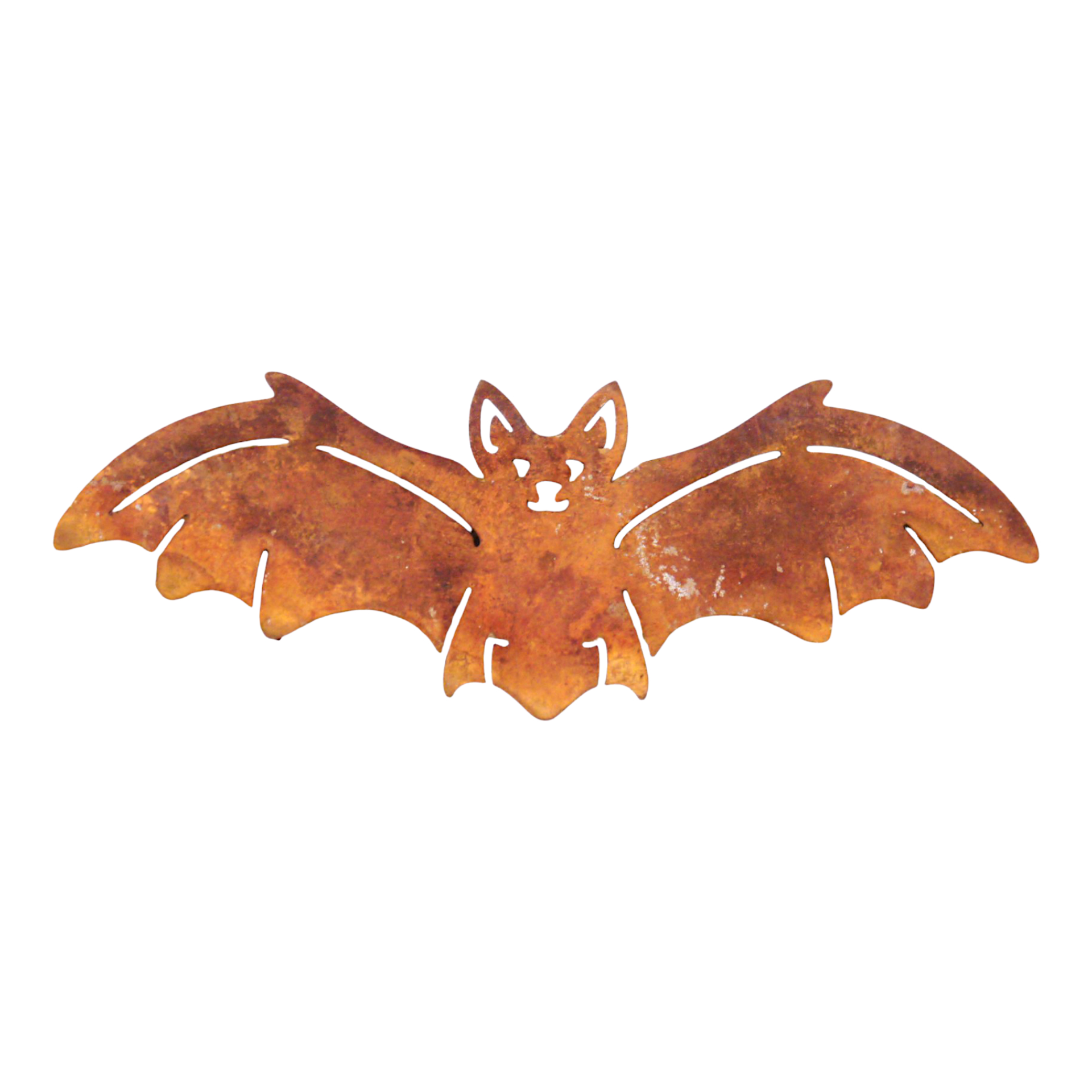 Darstellung von Fledermaus ROST