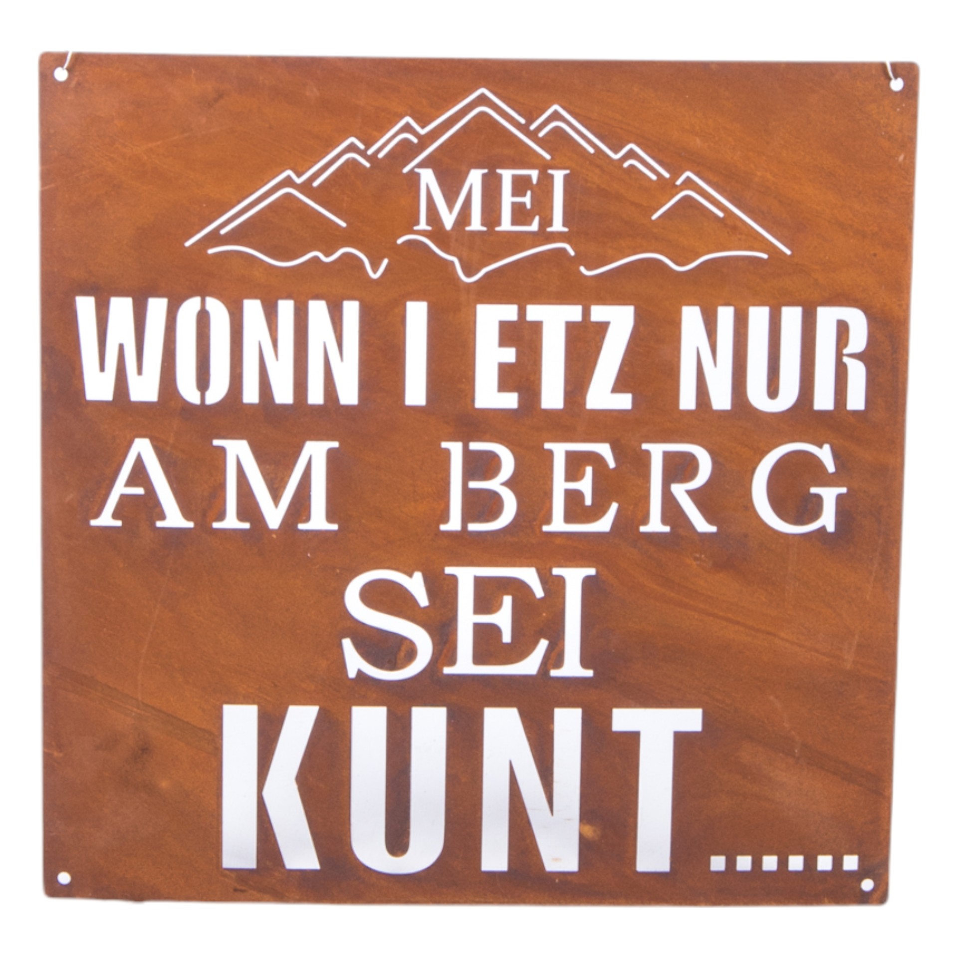 Darstellung von RP Tafel Wonn i etz nur am Berg sei kunt