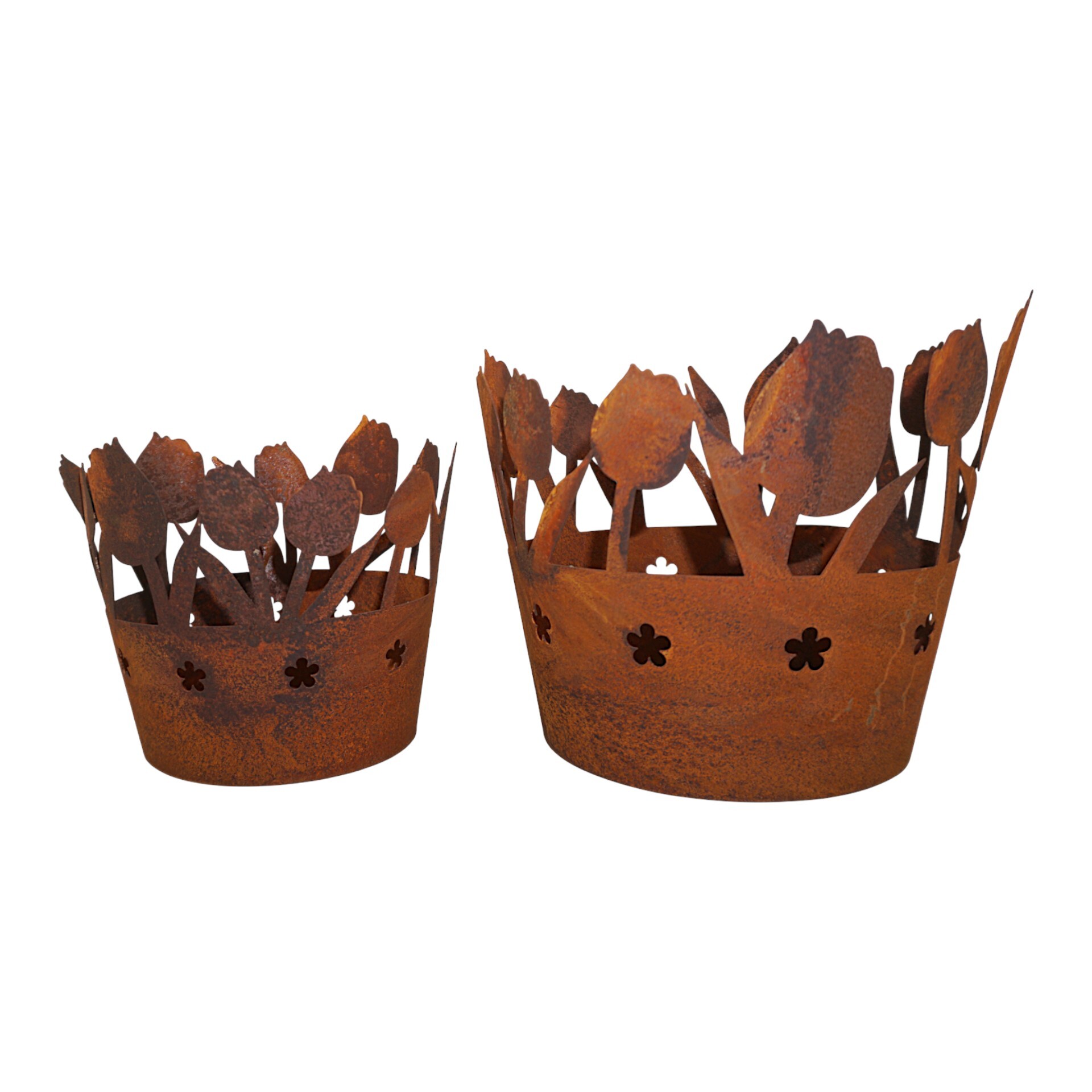 Darstellung von Tulpenwindlicht gross