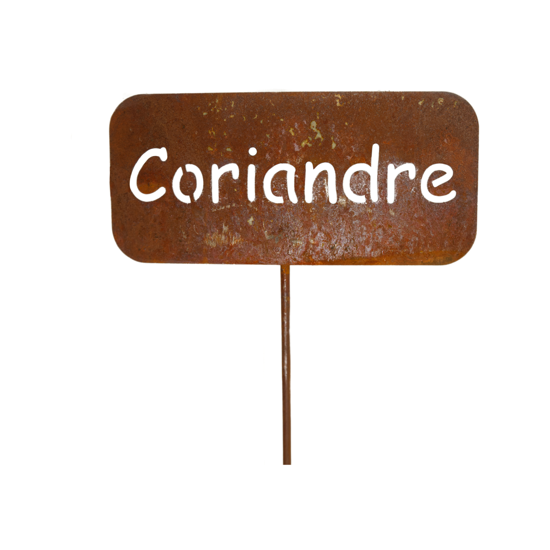 Darstellung von Gewürzstecker eckig auf Stab Coriandre