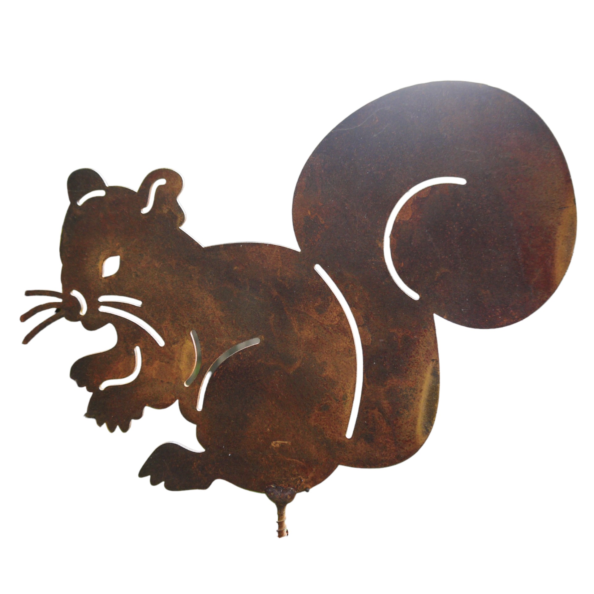 Eichhörnchen mit Dorn ROST Darstellung von Eichhörnchen mit Dorn ROST