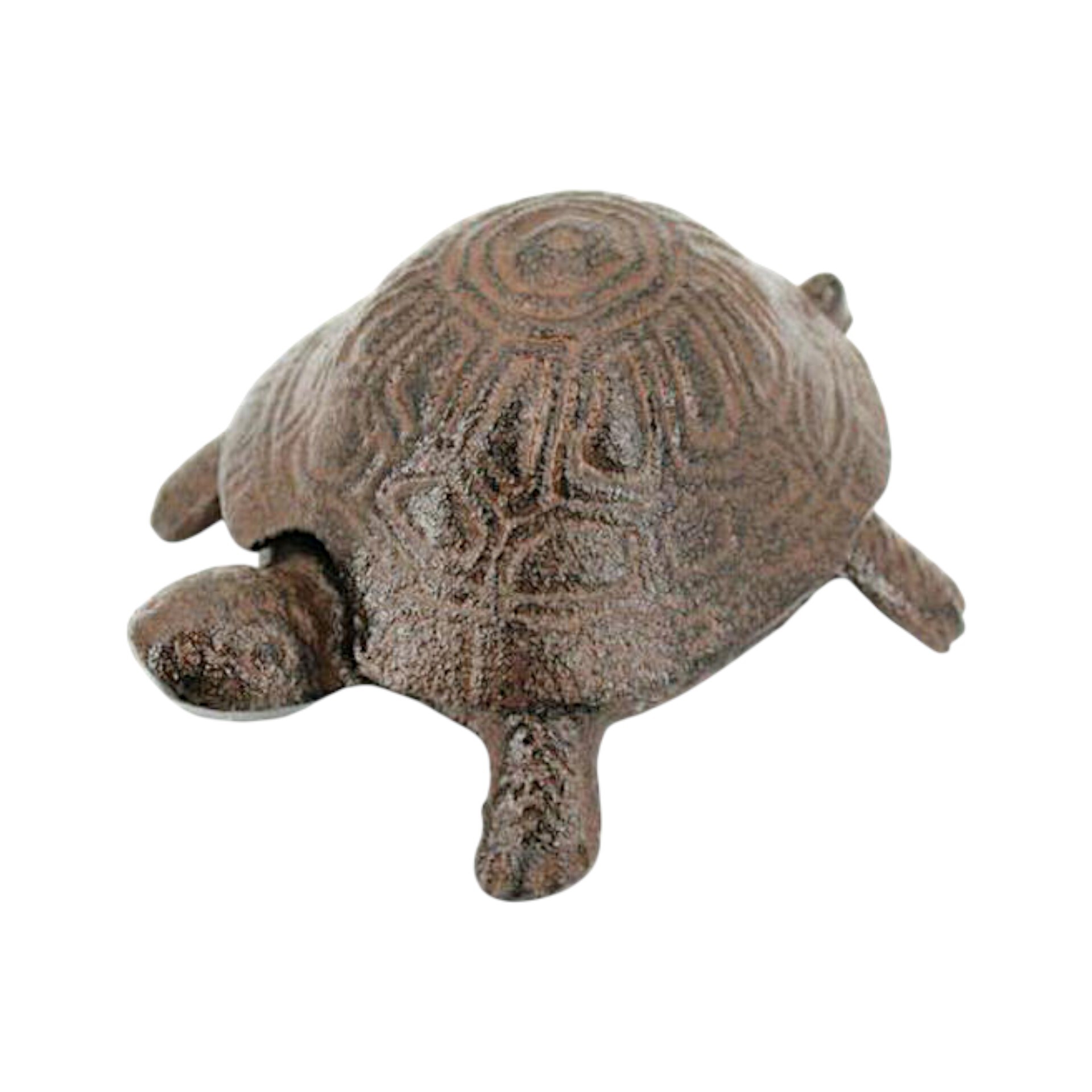 Darstellung von Schildkröte m. beweglichen Deckel