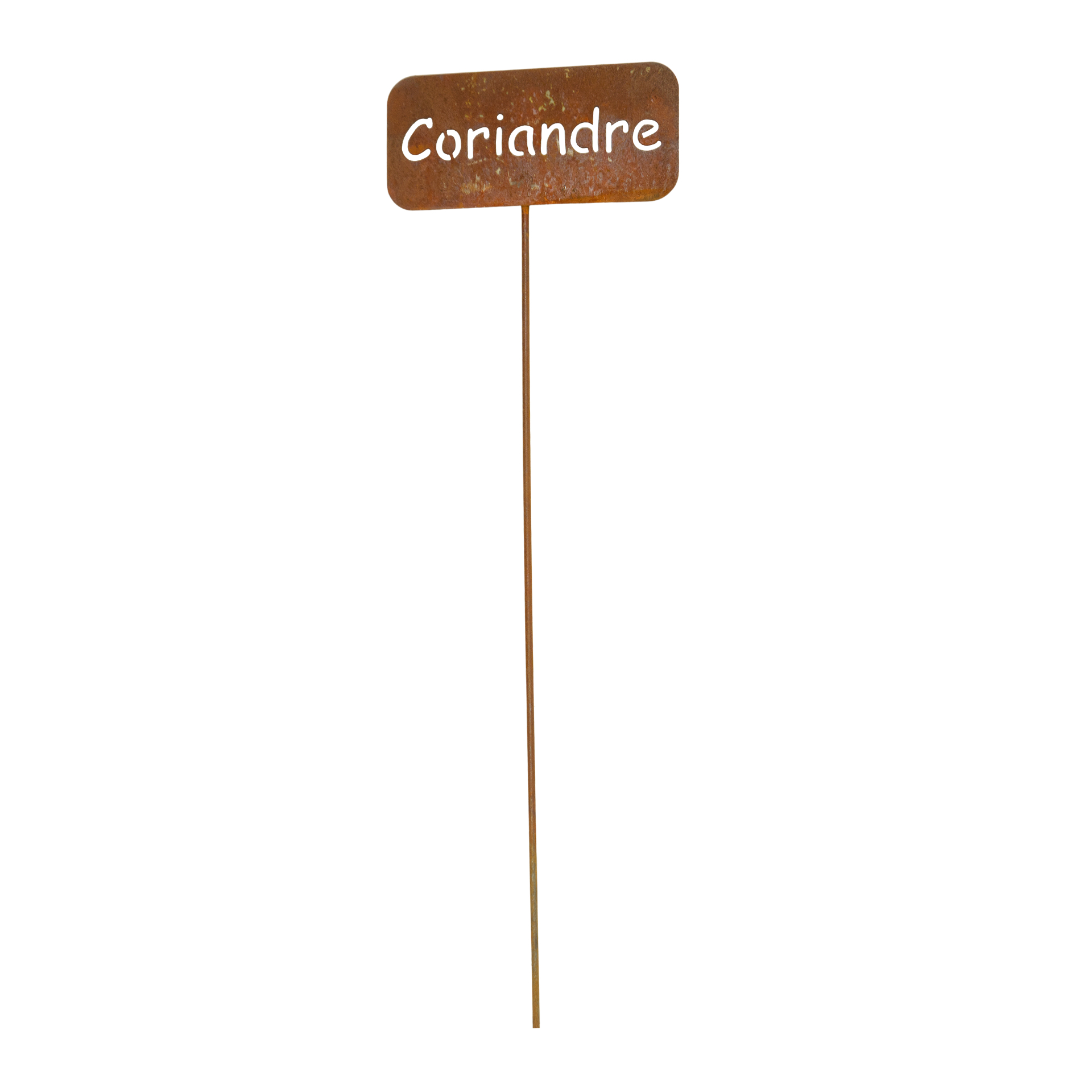 Darstellung von Gewürzstecker eckig auf Stab Coriandre