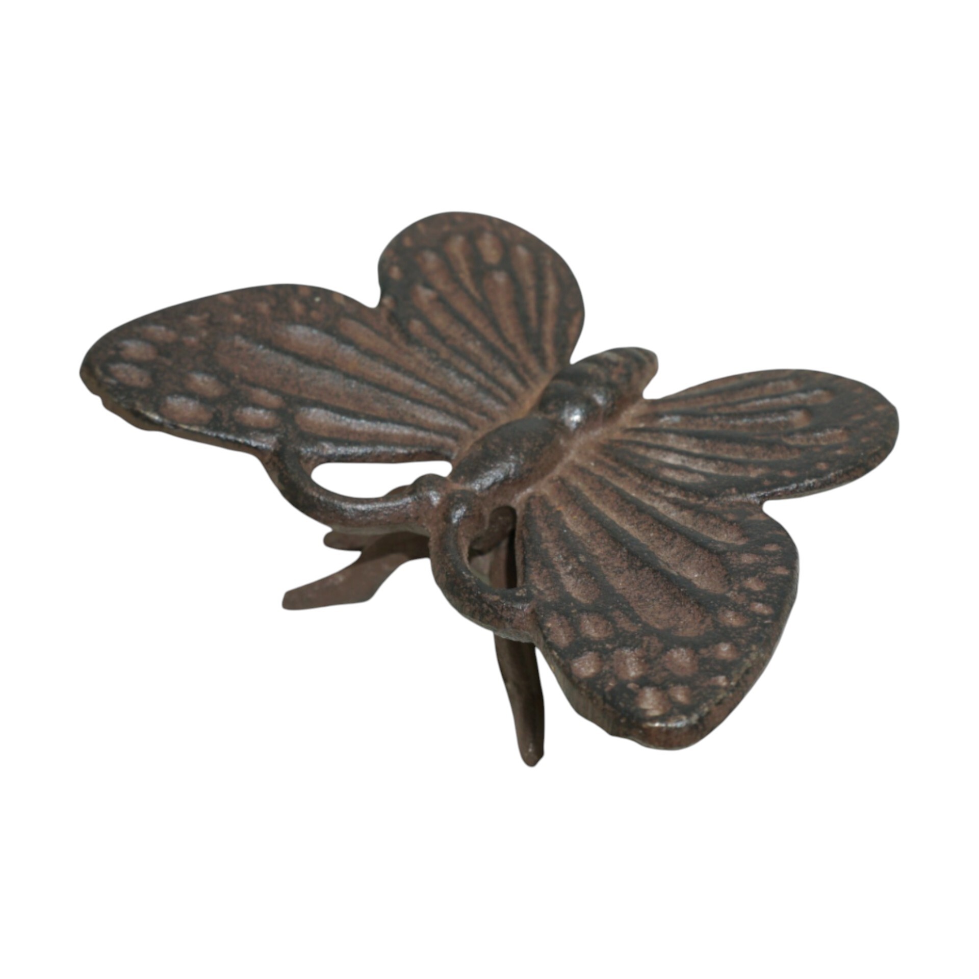 Schmetterling klein zum Stellen Darstellung von Schmetterling klein zum Stellen