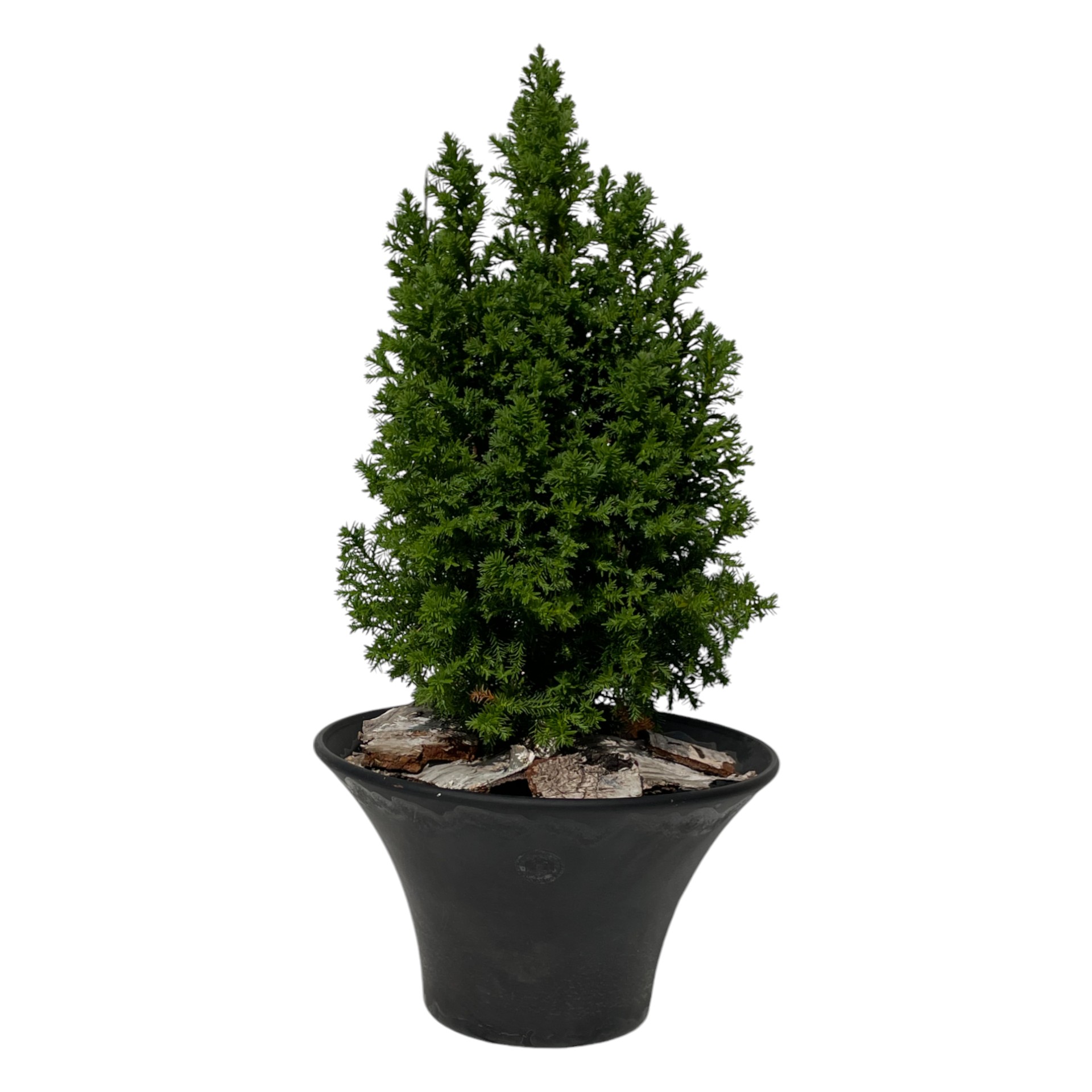 Darstellung von RP Schale ANTHRAZIT MATT 27x14 cm