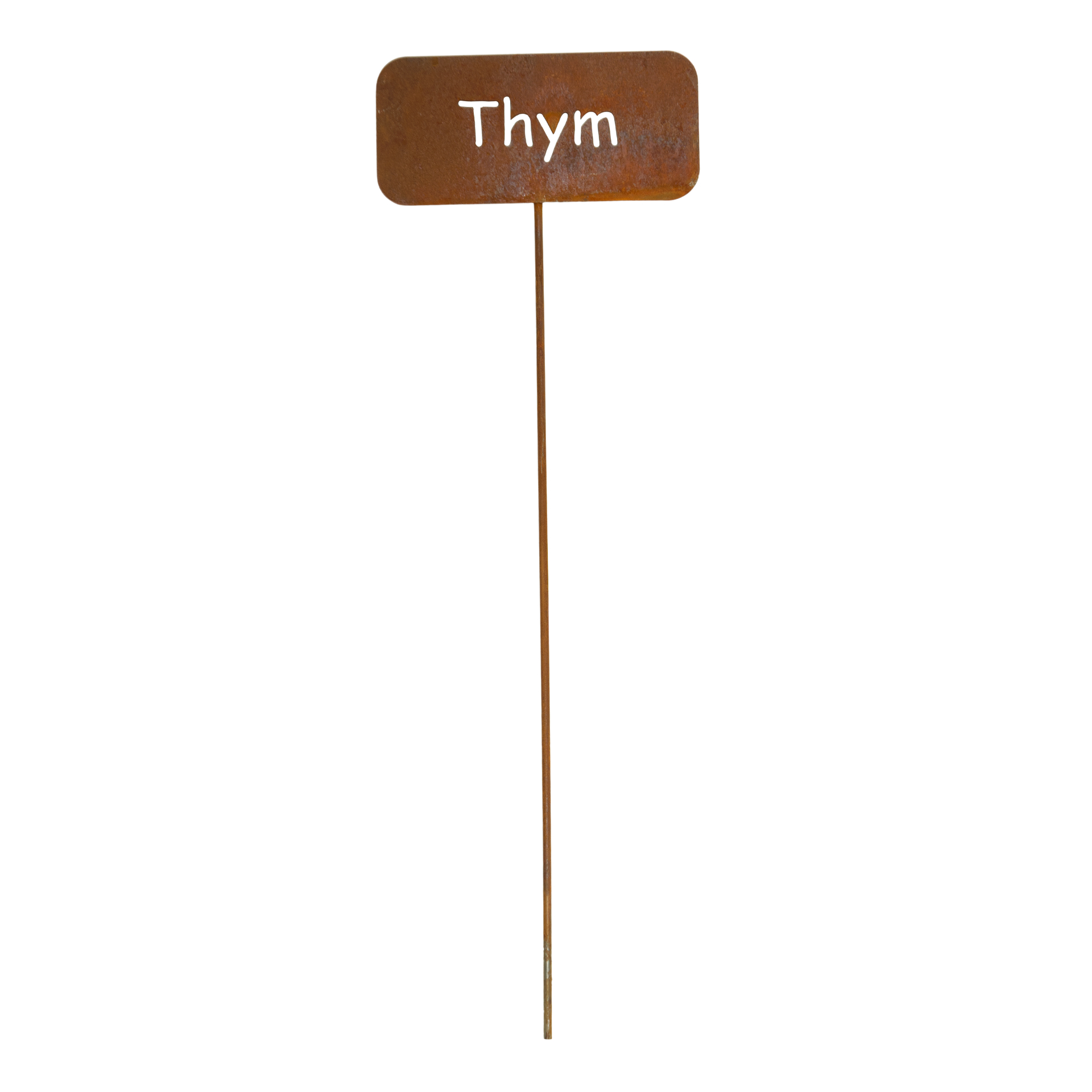 Darstellung von Gewürzstecker eckig auf Stab Thym