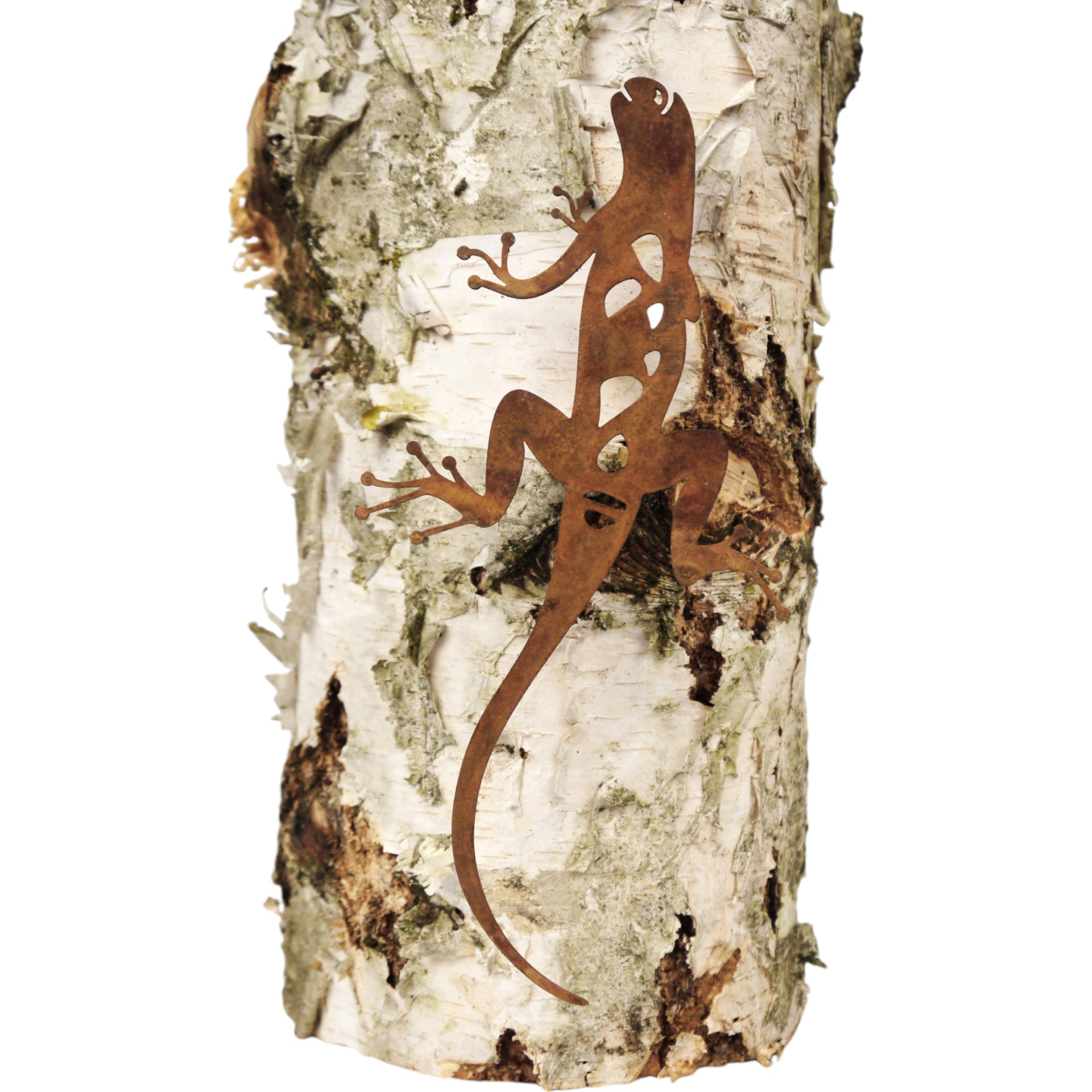 Salamander kletternd ROST Darstellung von Salamander kletternd ROST