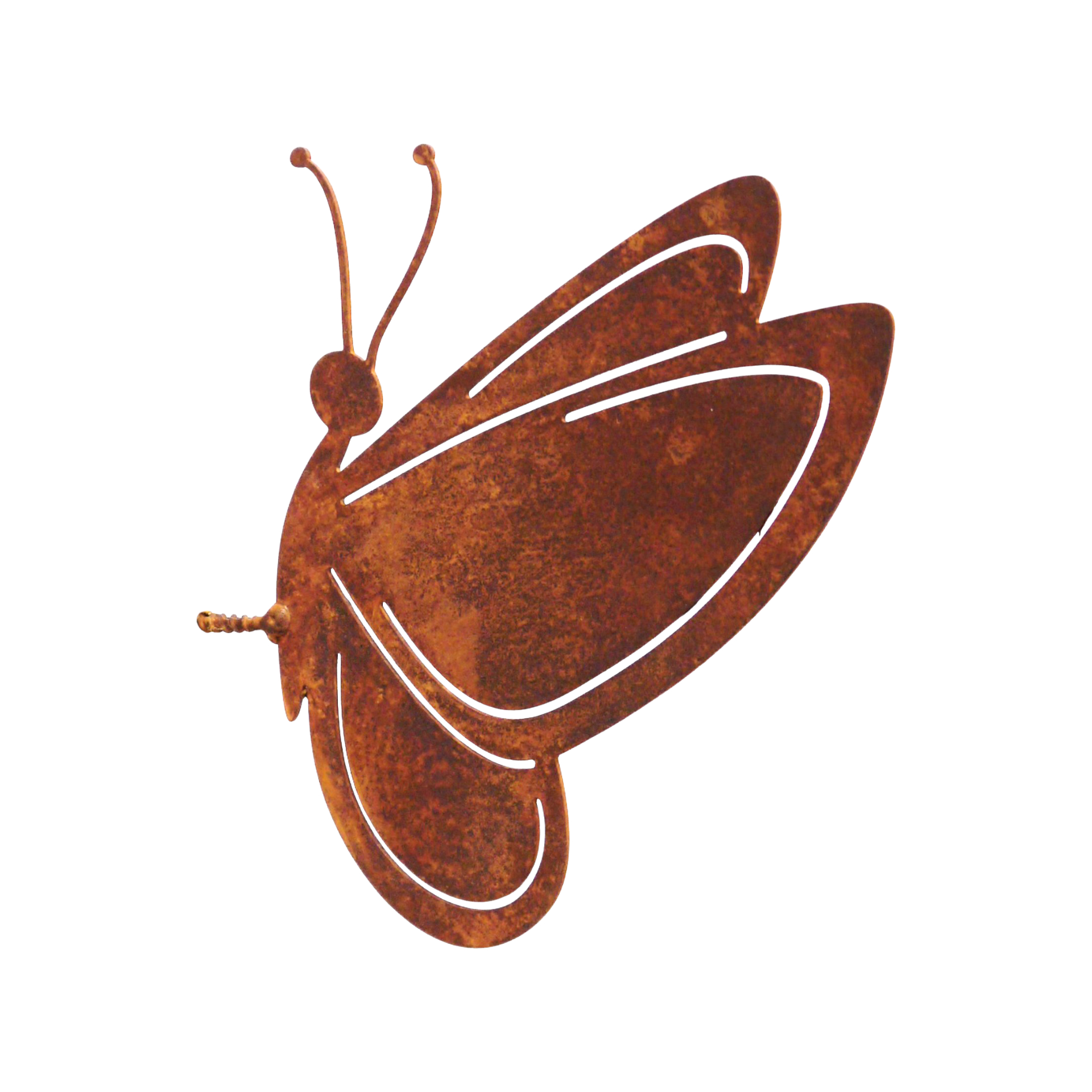 Darstellung von Schmetterling m. Dorn rost klein