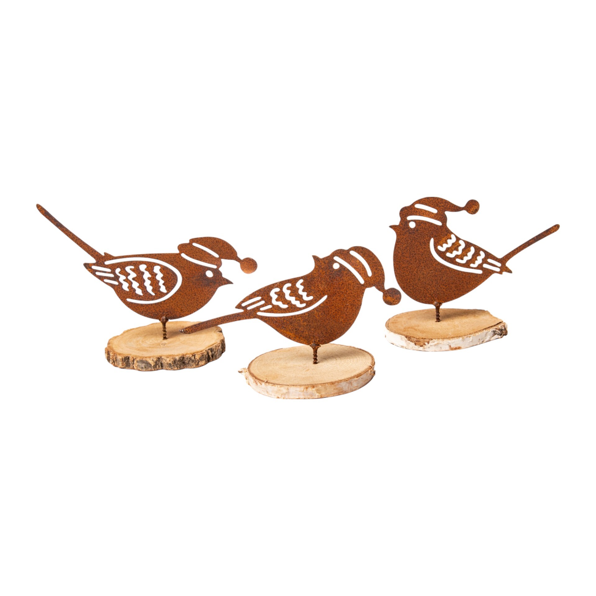 Vögelchen mit Mütze und Dorn sortiert Darstellung von Vögelchen mit Mütze und Dorn sortiert