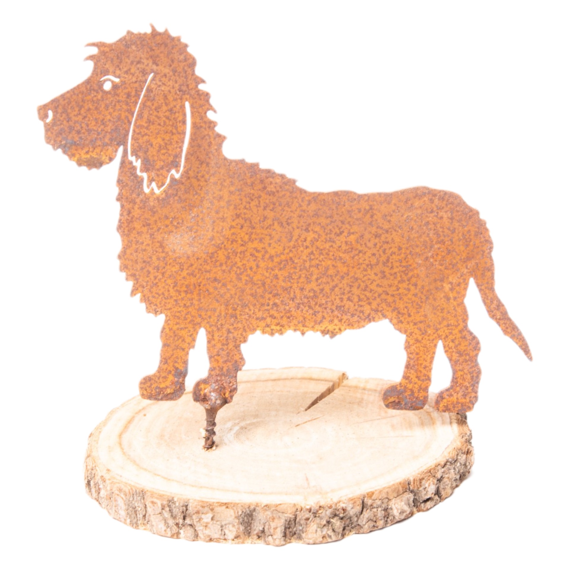 Darstellung von Mischling mit Dorn,15x11 cm