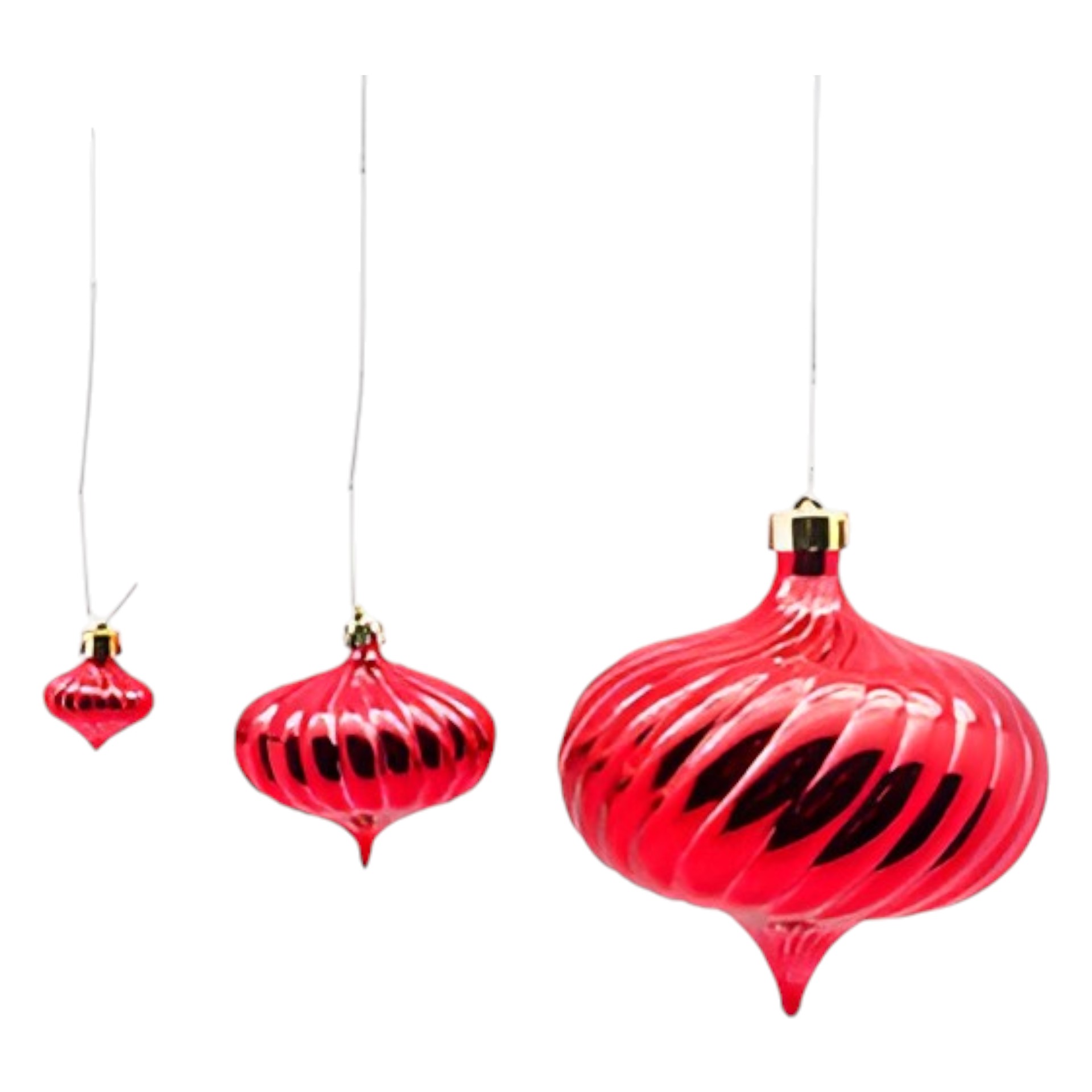 RP Zweibel rot klein Darstellung von RP Zweibel rot klein