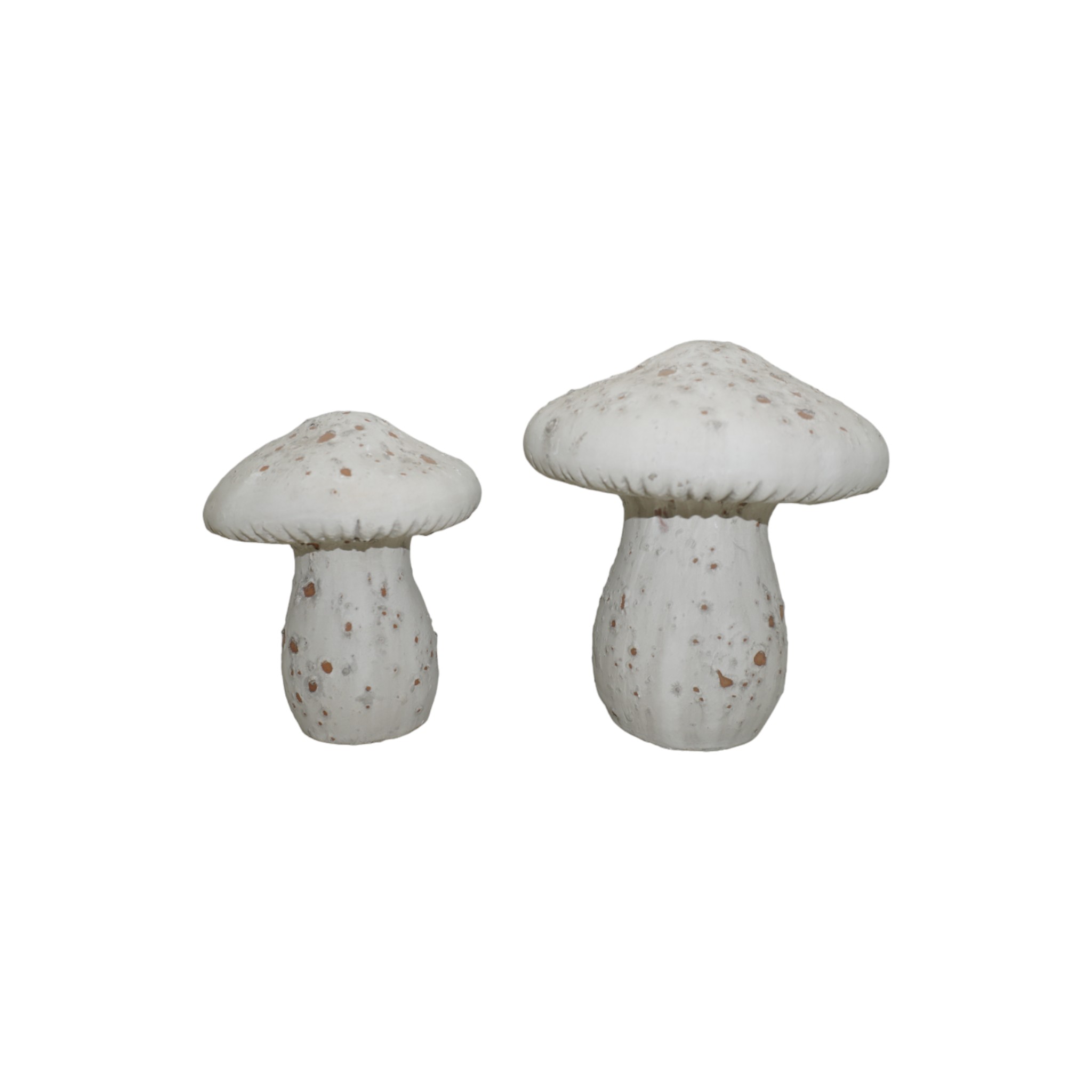 Darstellung von Steinpilz gross