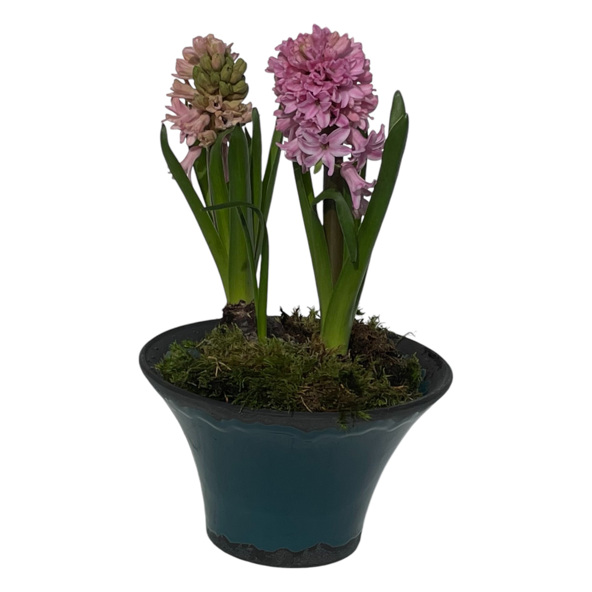 Darstellung von RP Schale PETROL 27x14 cm