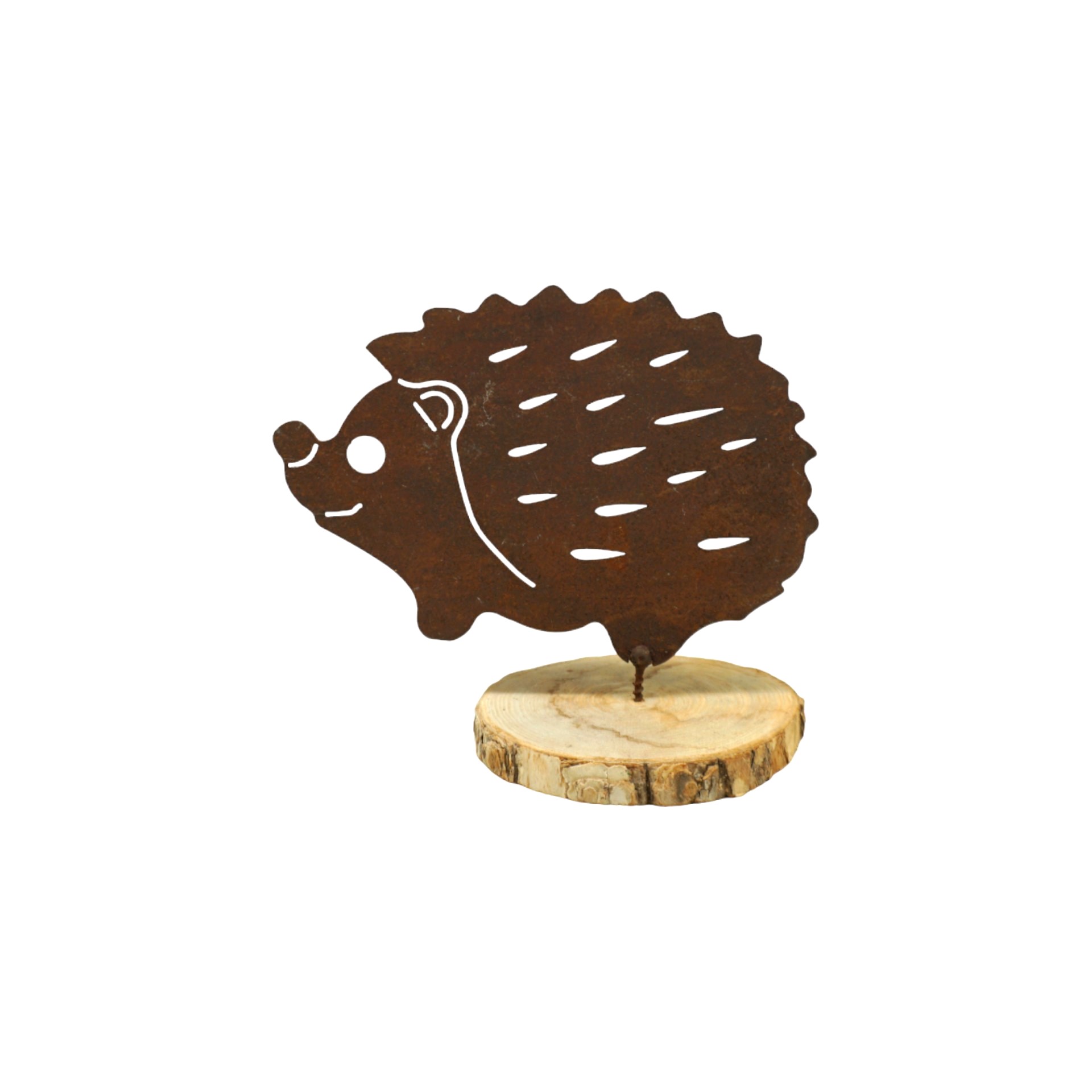 Darstellung von Igel mit Dorn ROST