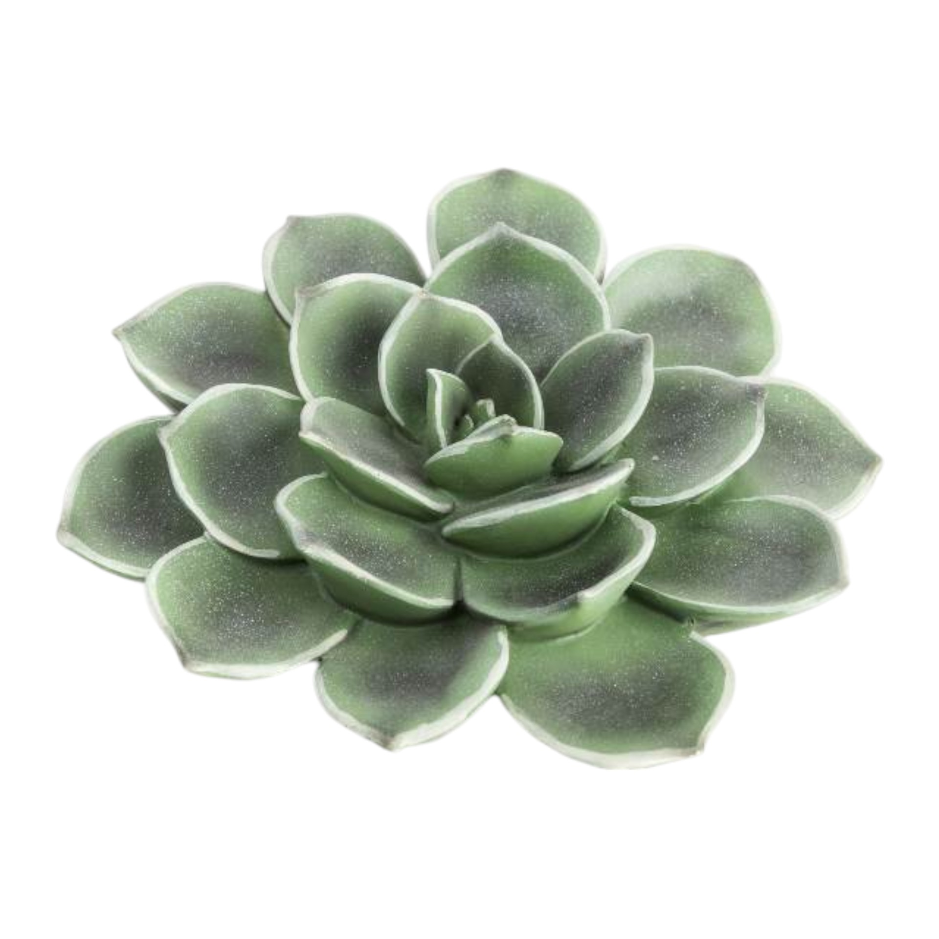 RP Kaktus gross z. Hängen/Stellen Darstellung von RP Kaktus gross z. Hängen/Stellen