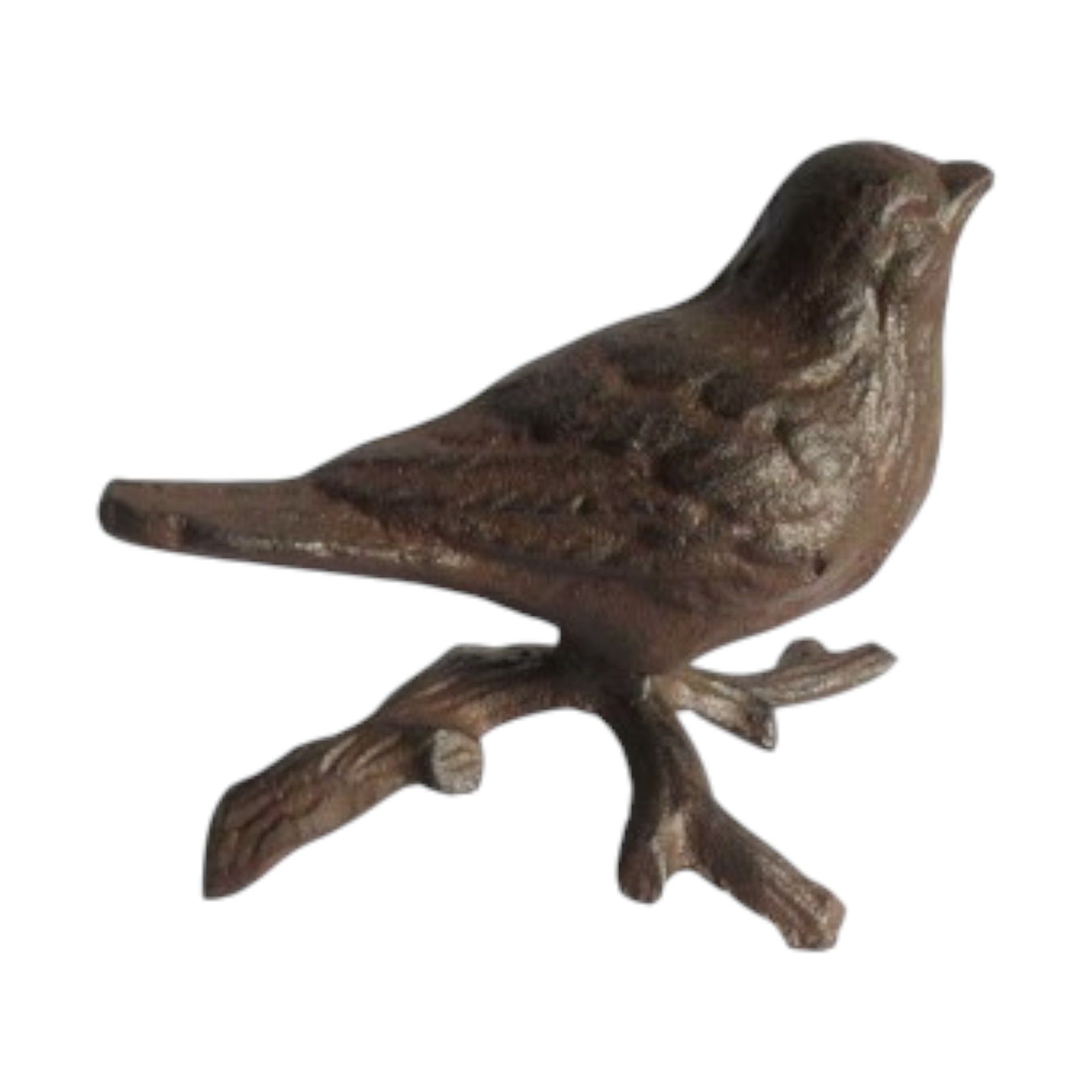 Vögelchen auf Ast sitzend Darstellung von Vögelchen auf Ast sitzend