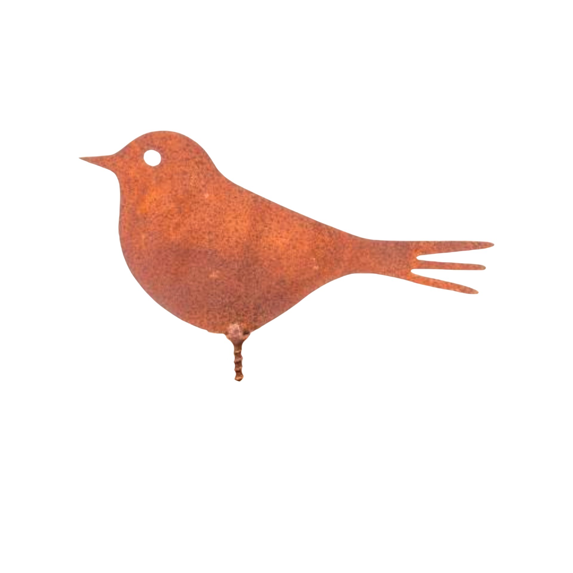 Darstellung von Spatz mit Dorn