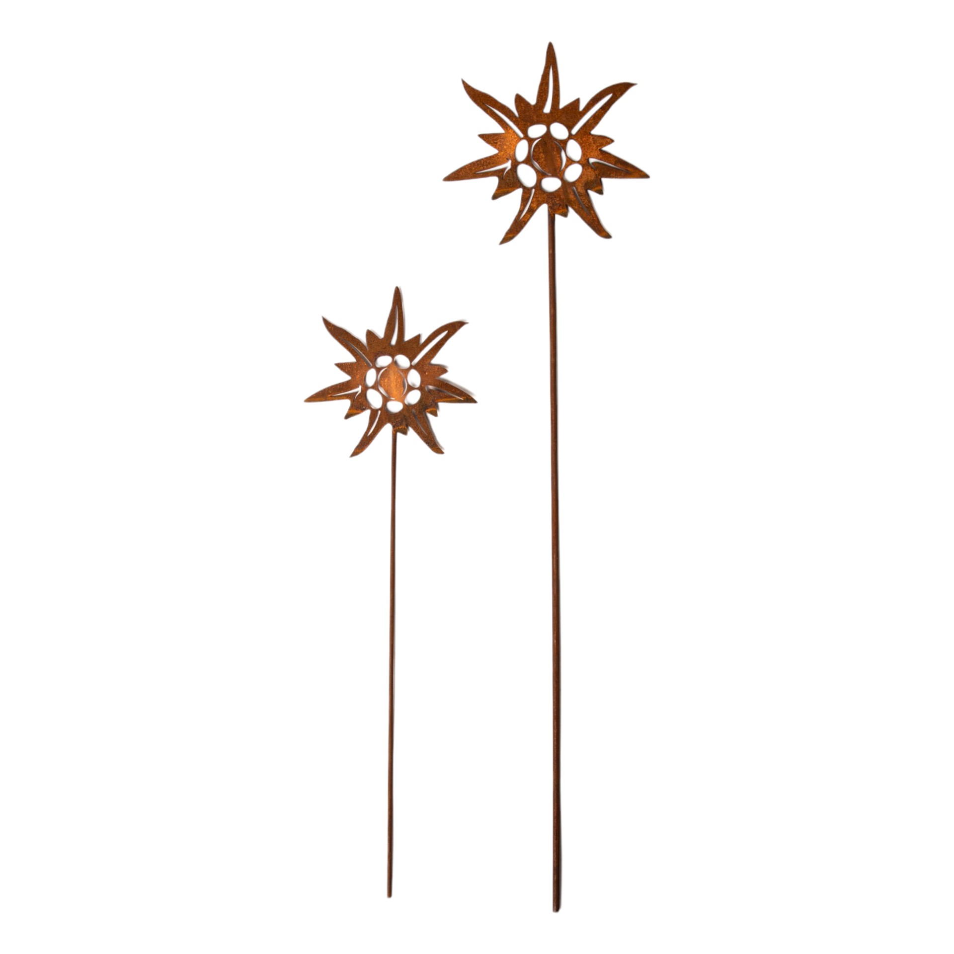 Darstellung von Edelweiss klein auf Stab, d= 15, h= 52 cm