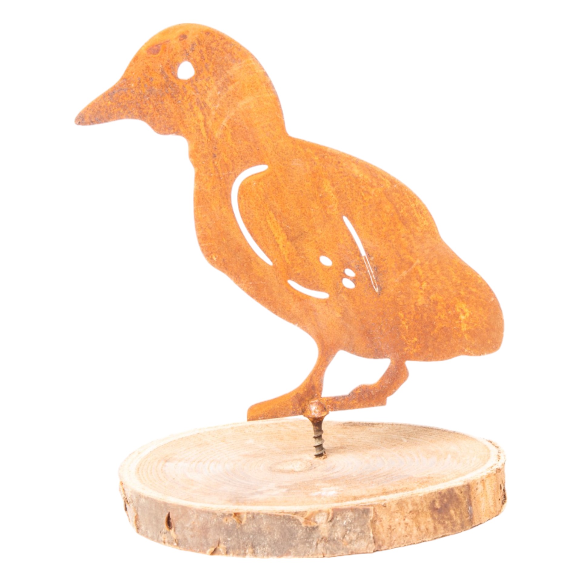 Küken klein mit Dorn, 12x12 cm Darstellung von Küken klein mit Dorn, 12x12 cm