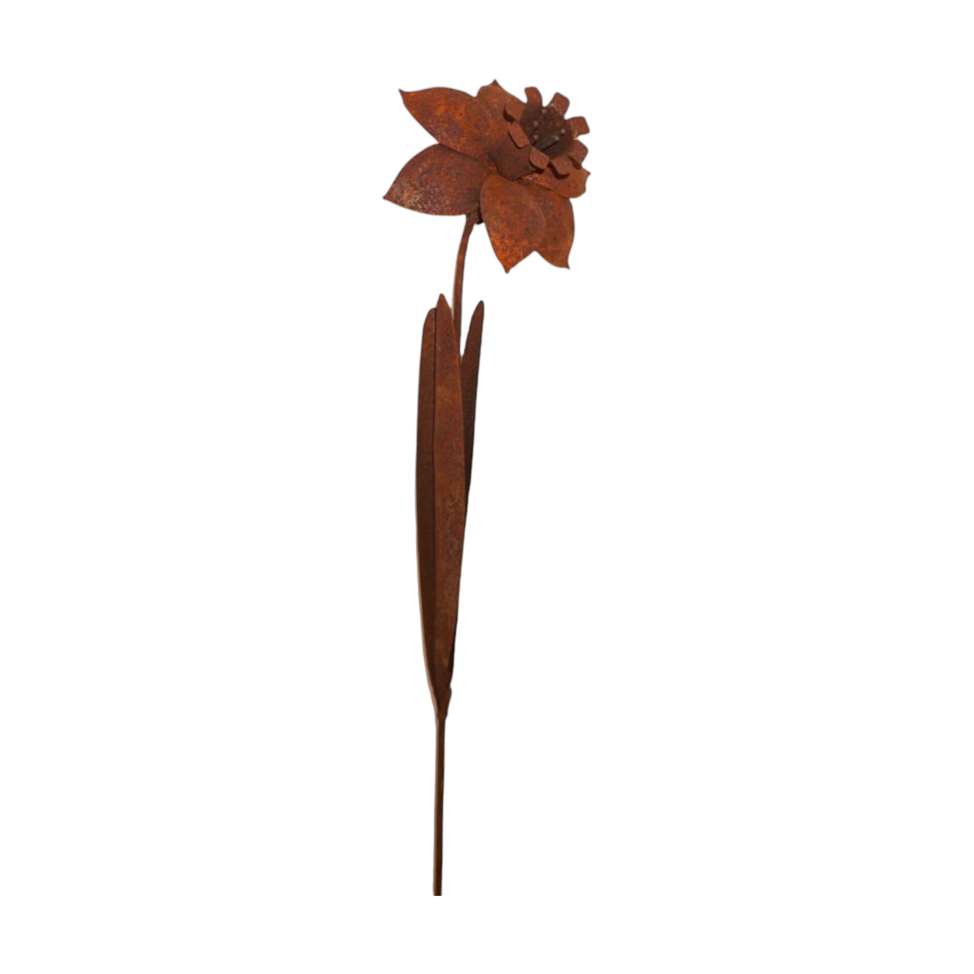 Darstellung von Narzisse z. Stecken rost, h= 110 cm, b= 22 cm