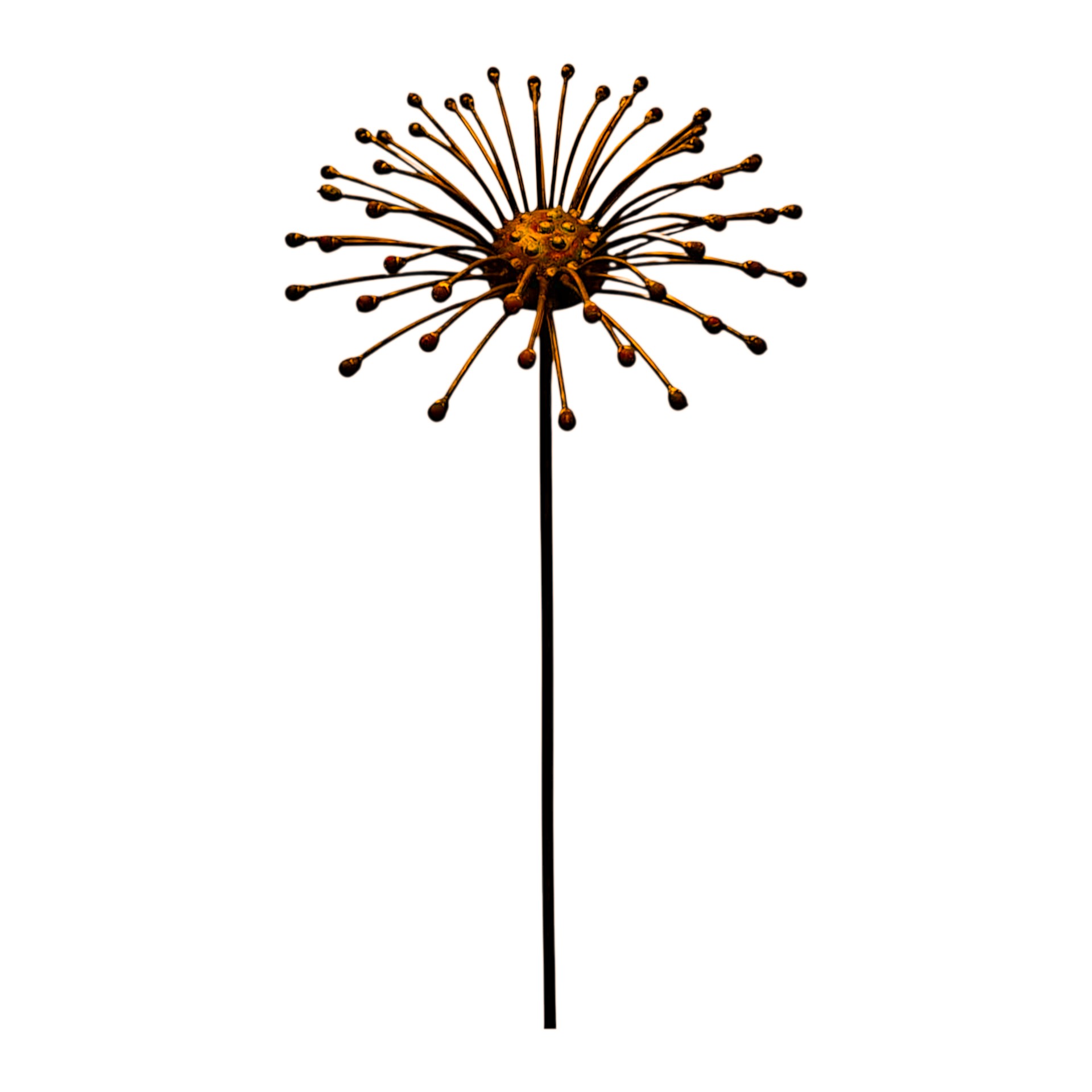 Darstellung von Löwenzahn z. Stecken