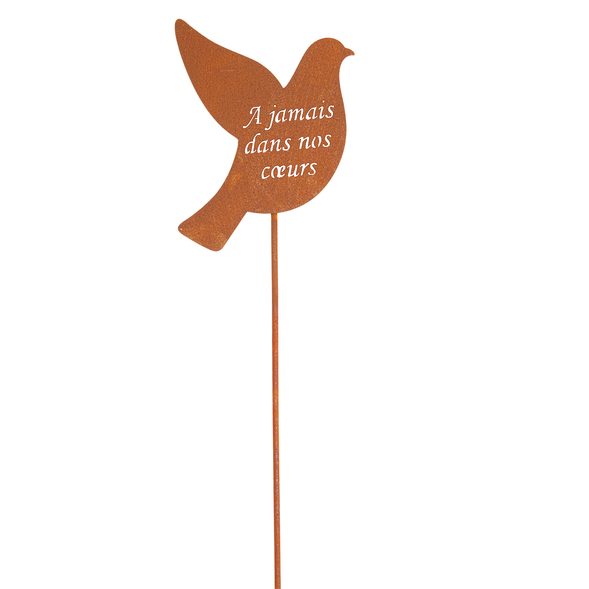 Darstellung von Taubenstecker A jamais dans nos coeurs
