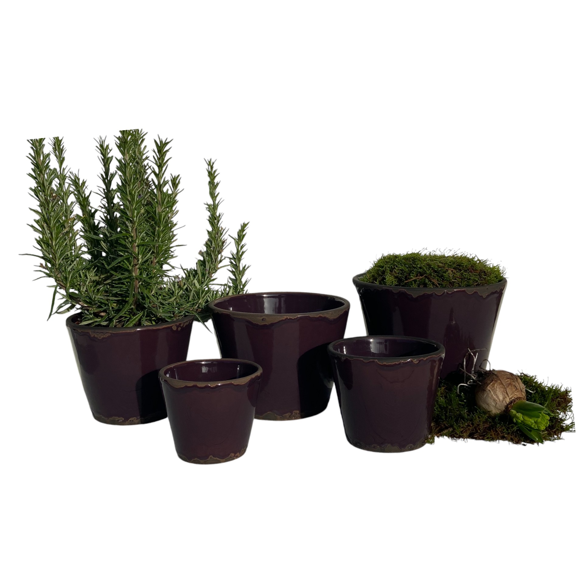 Darstellung von RP Topf Flora AUBERGINE 19x15,5 cm