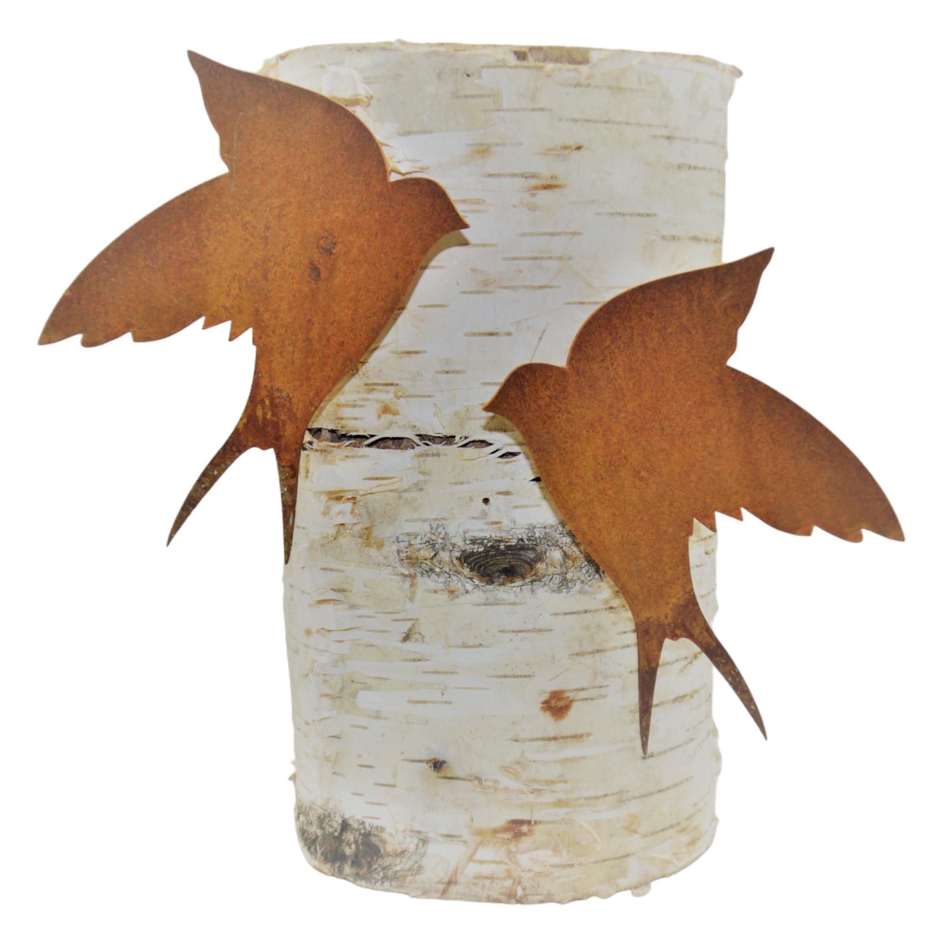 Darstellung von RP Schwalbe breite Flügel mit Dorn