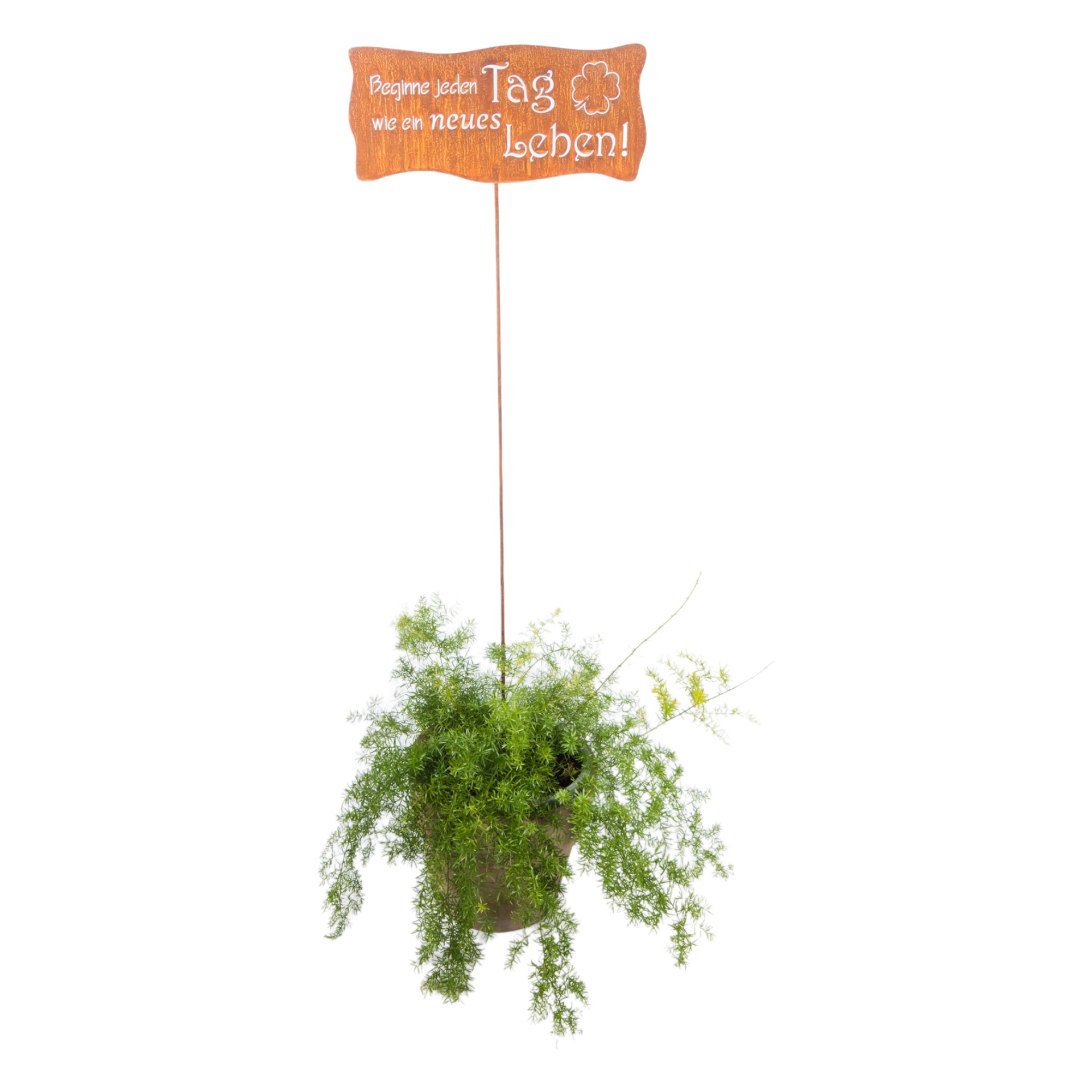 Darstellung von Stecker Beginne jeden Tag...