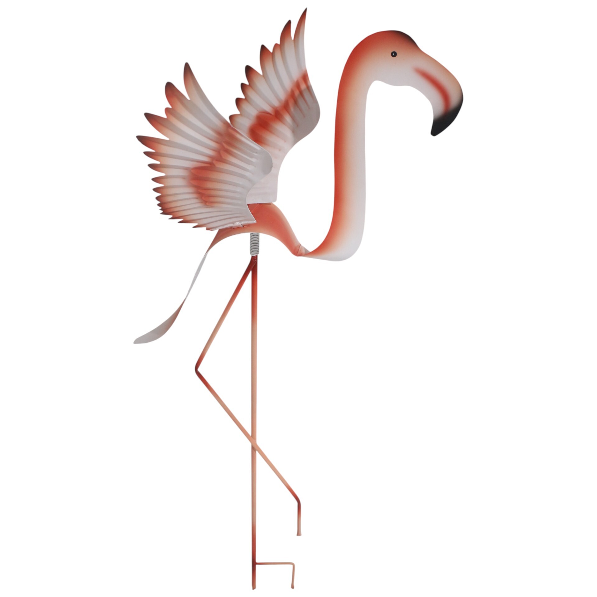 Darstellung von Wippflamingo rosa