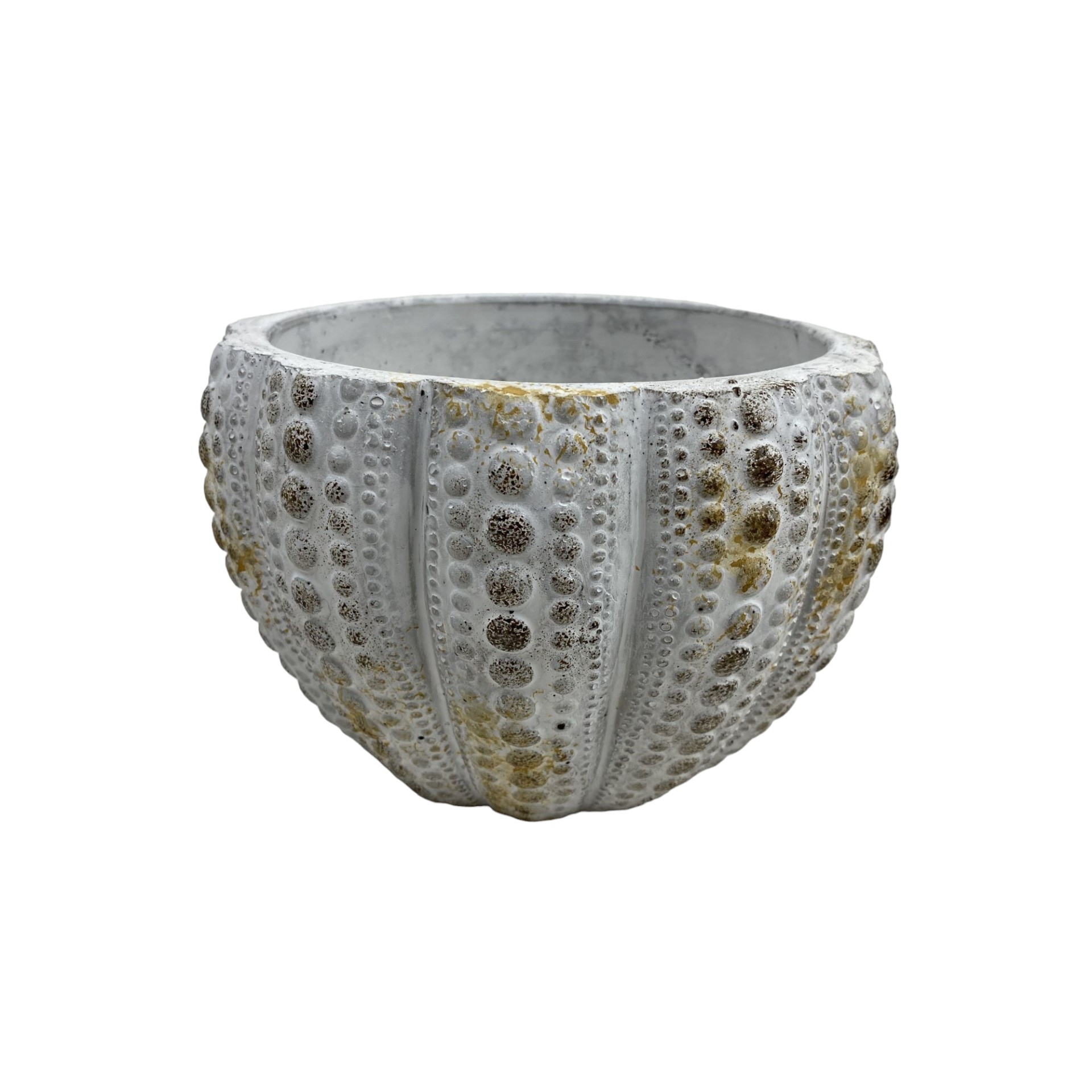 RP Noppentopf creme mini Darstellung von RP Noppentopf creme mini